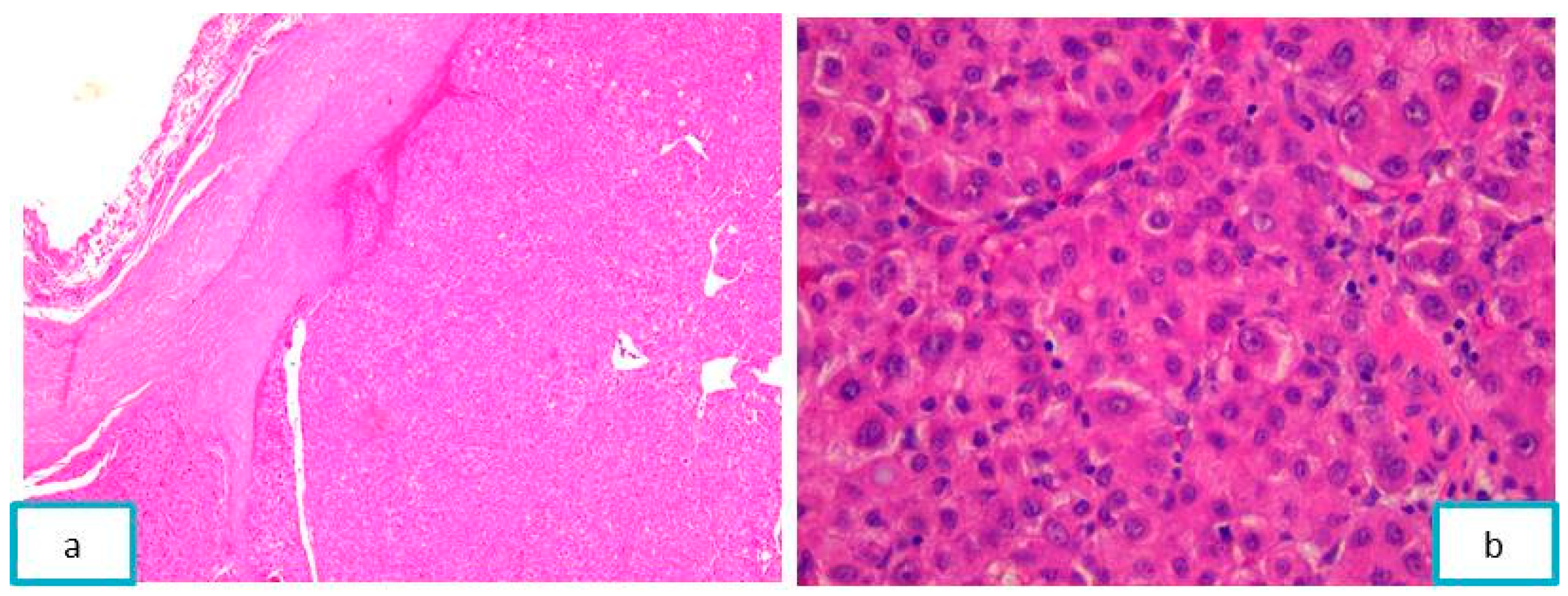 Diagnostics 13 03513 g008