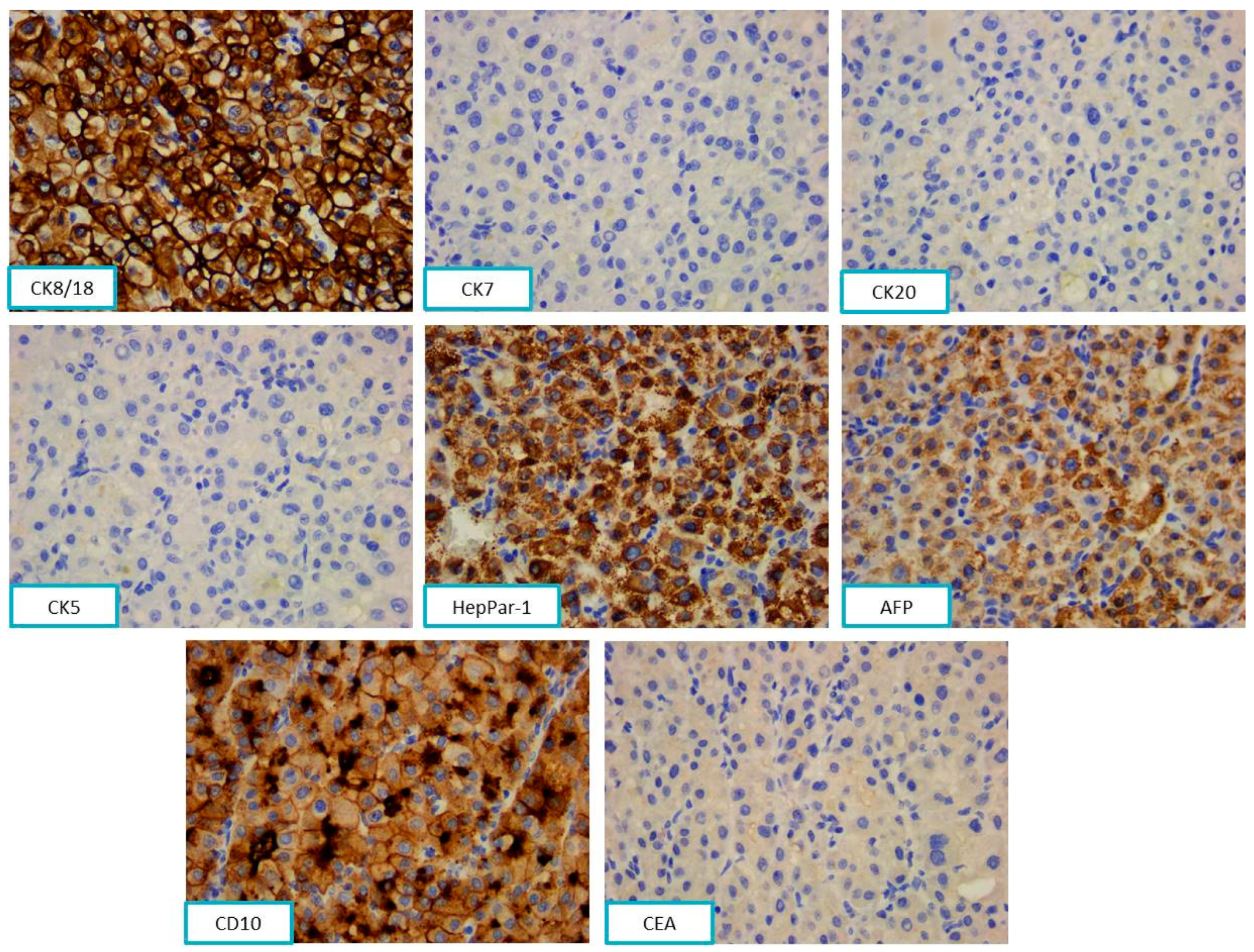 Diagnostics 13 03513 g009