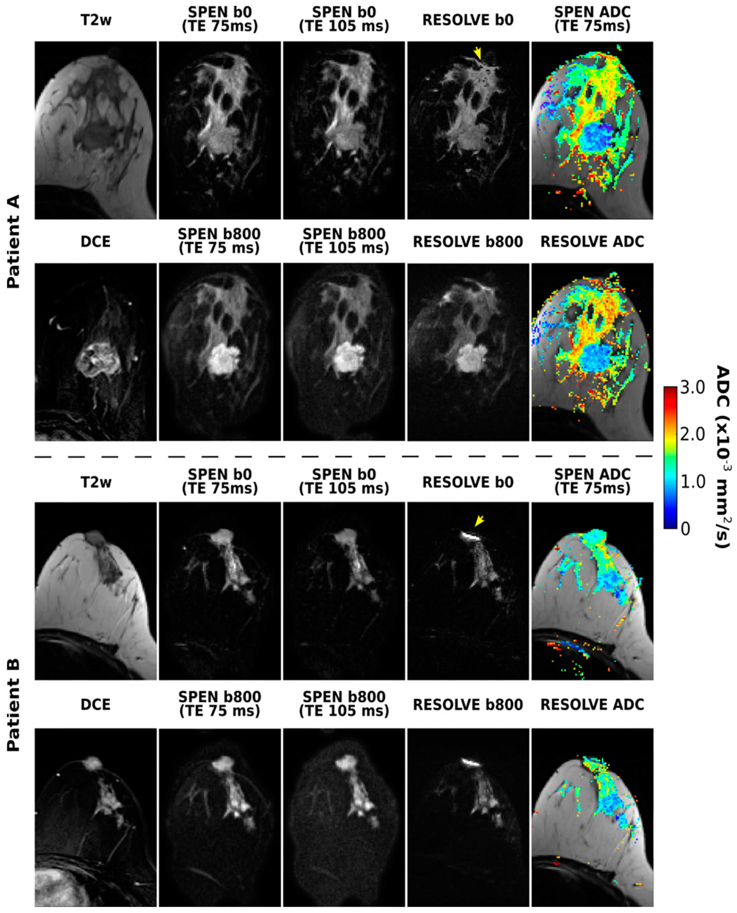 Diagnostics 13 03516 g003