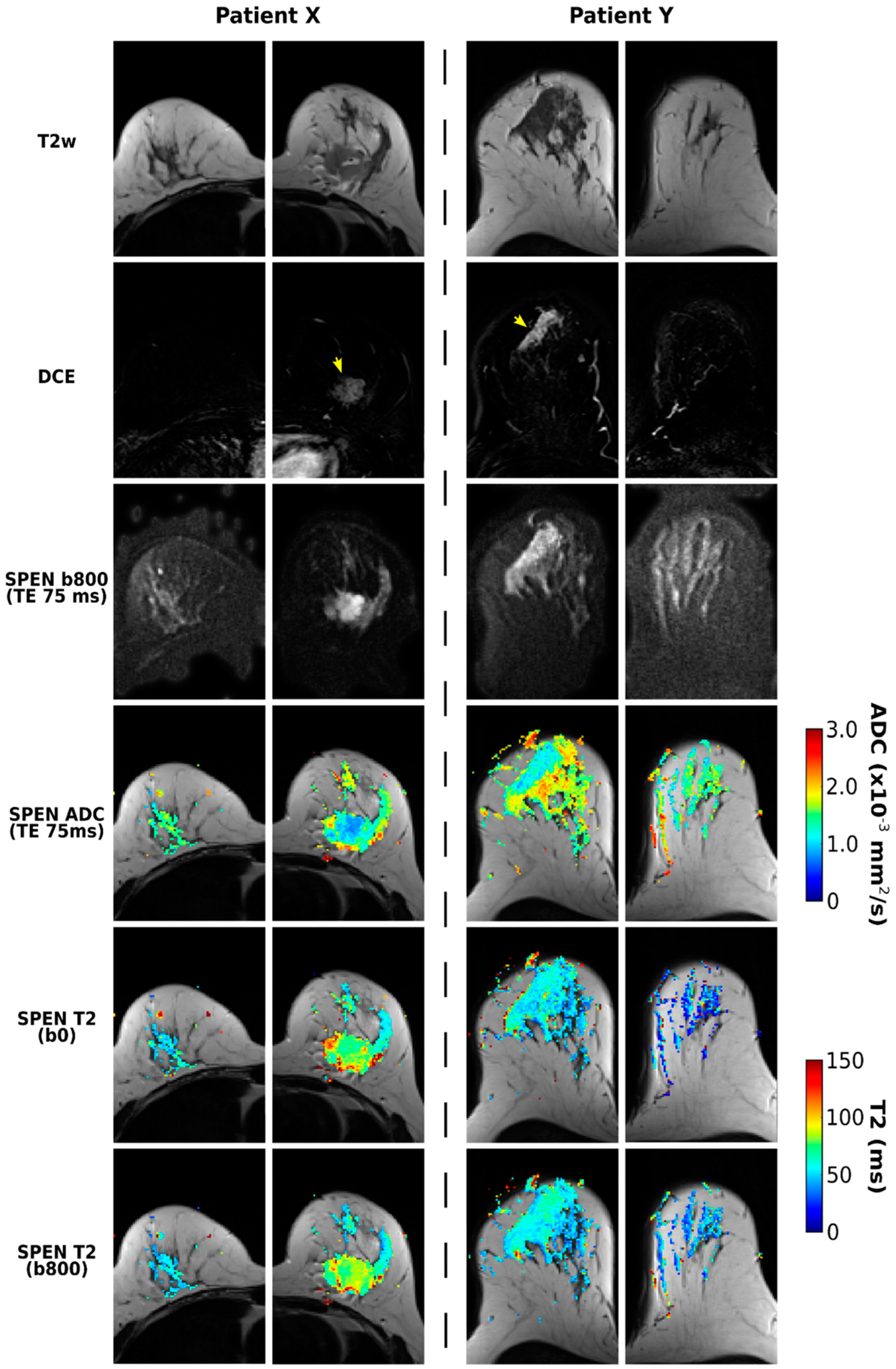 Diagnostics 13 03516 g004