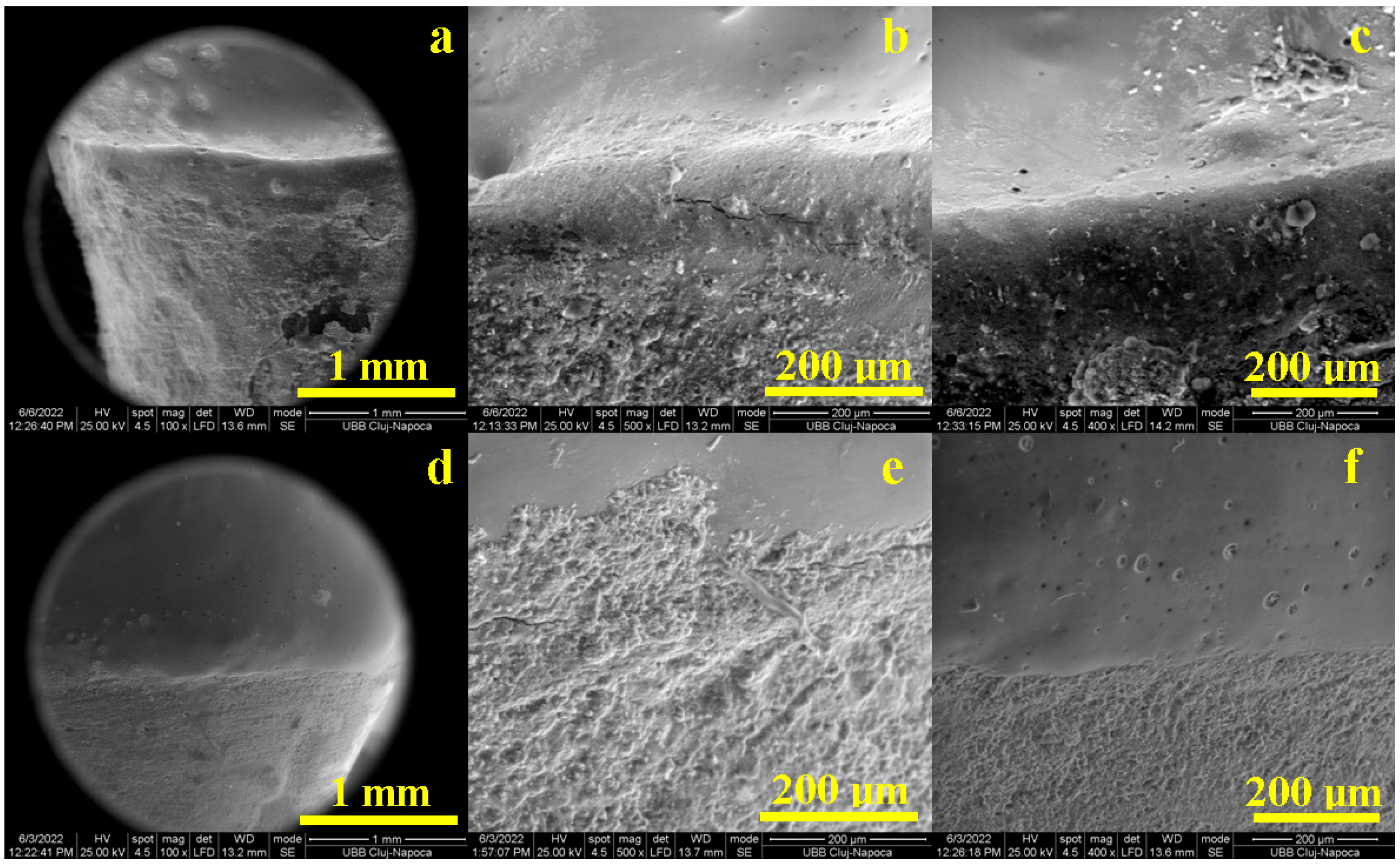 Diagnostics 13 03518 g002