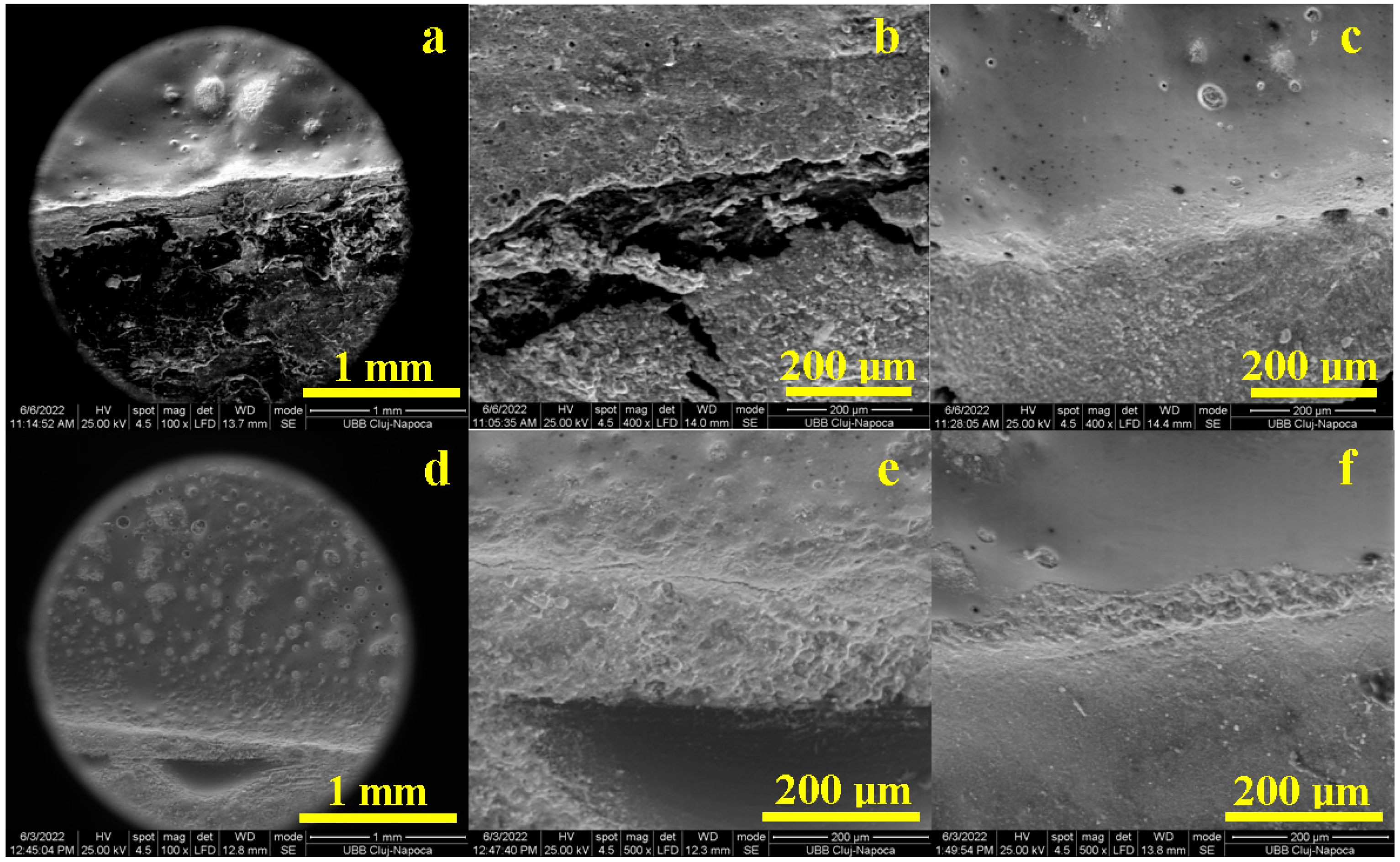 Diagnostics 13 03518 g003