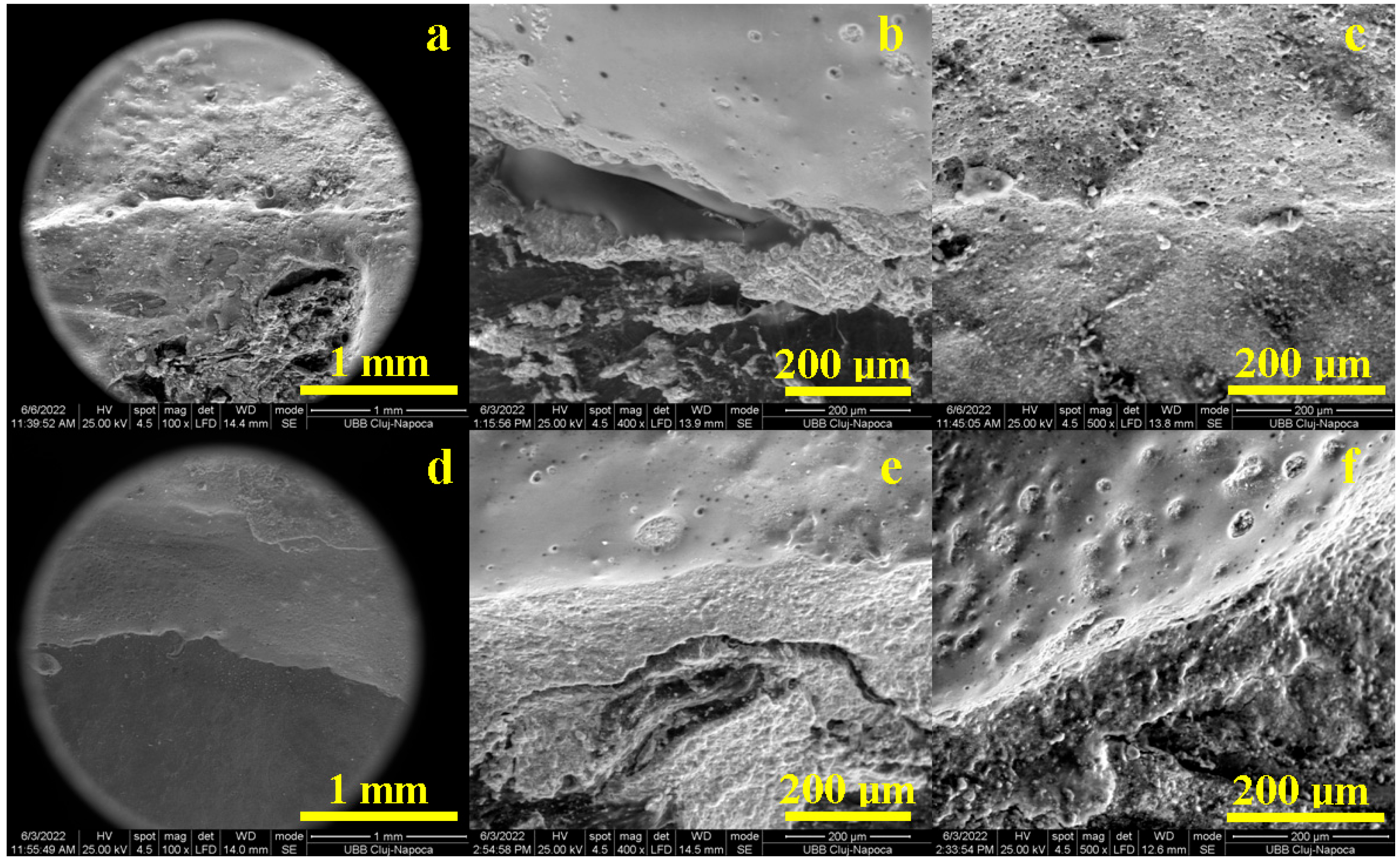 Diagnostics 13 03518 g004