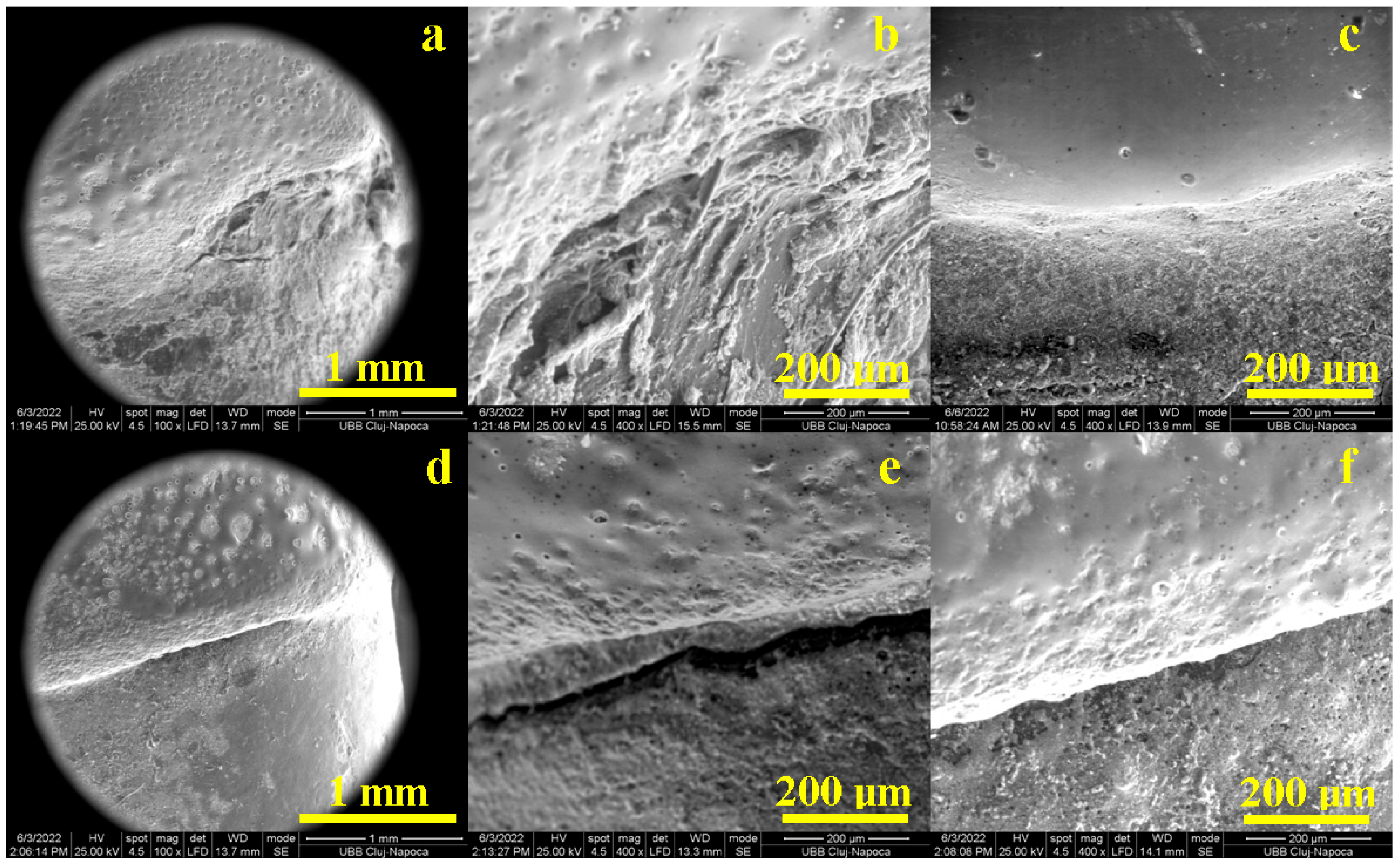 Diagnostics 13 03518 g005