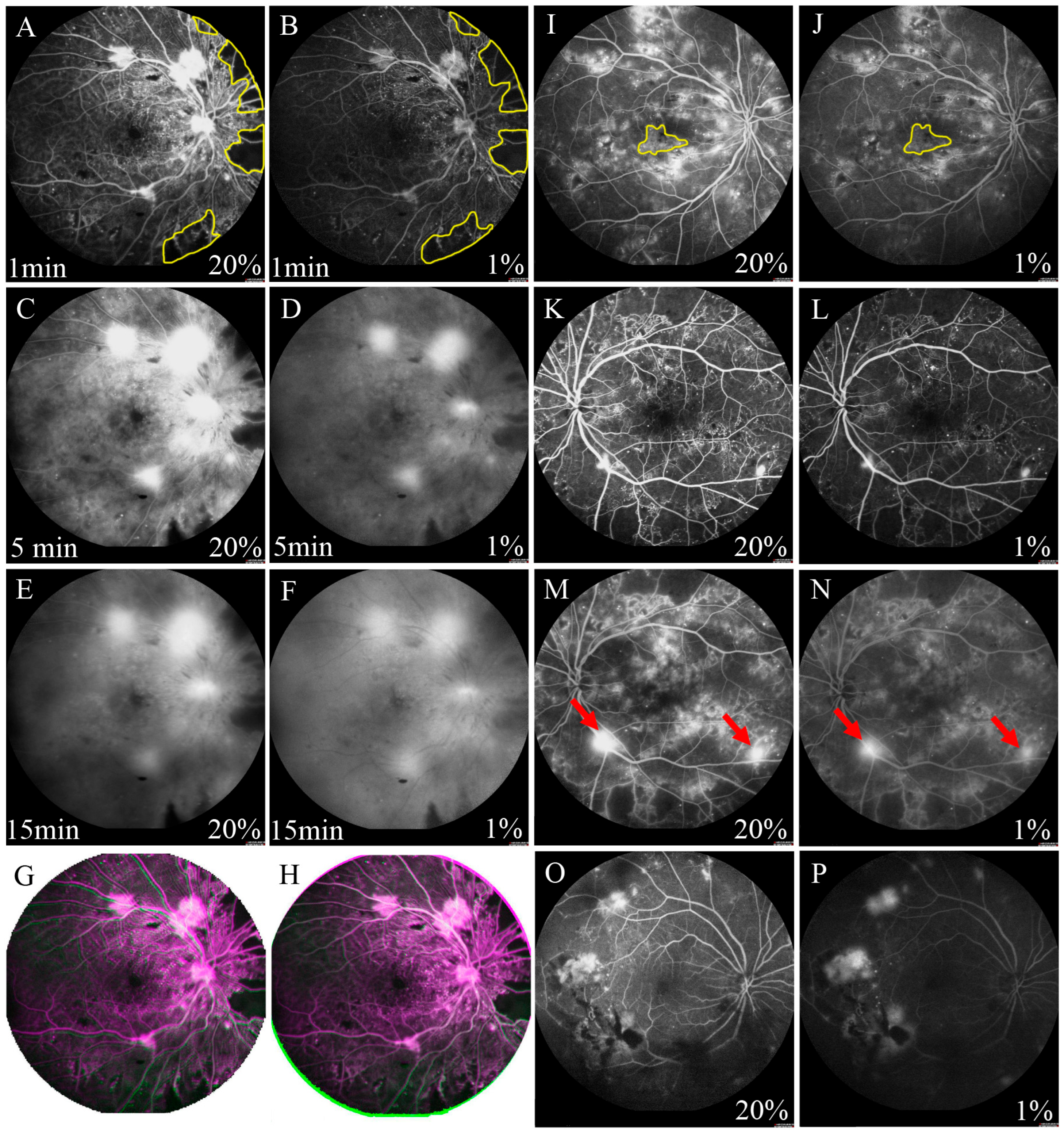 Diagnostics 13 03519 g001