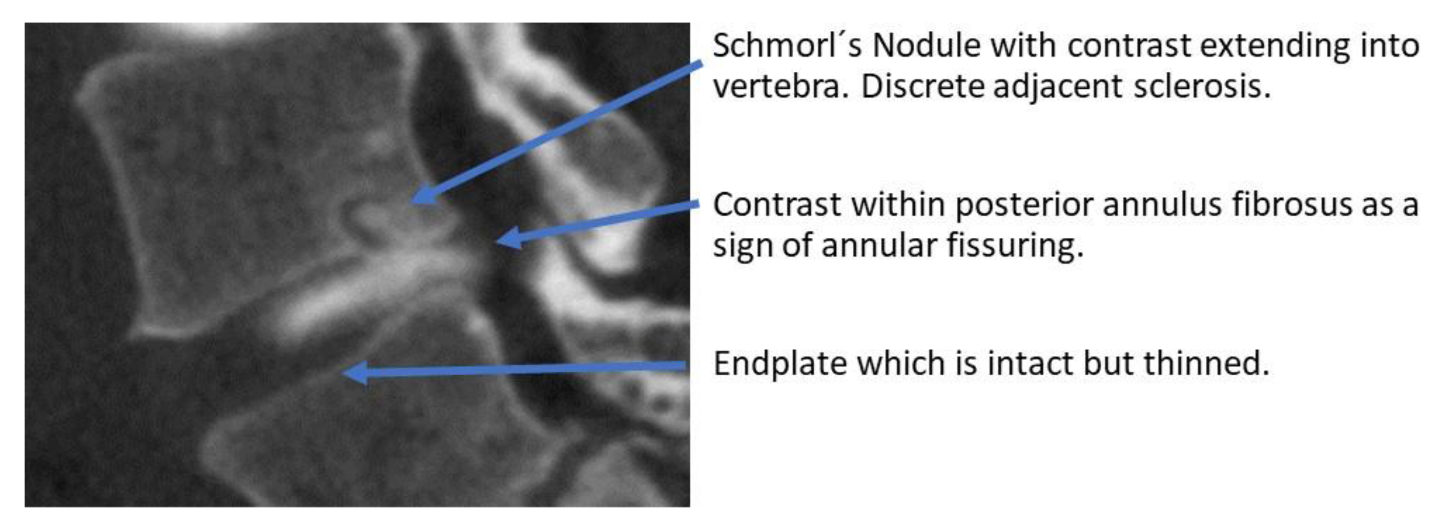 Diagnostics 13 03528 g001