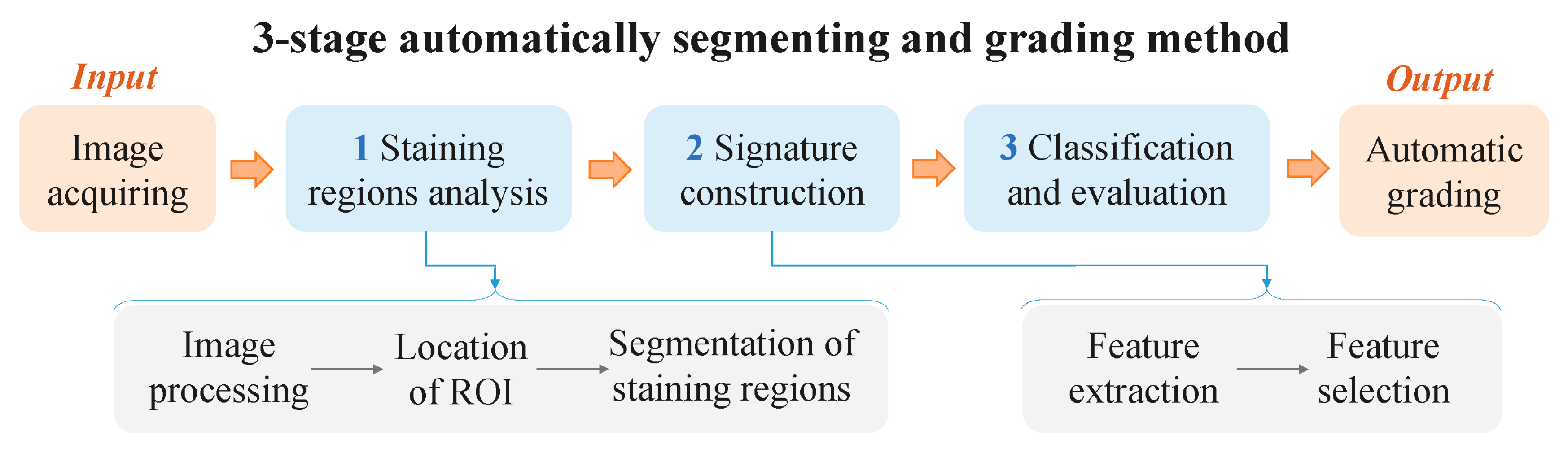 Diagnostics 13 03533 g001