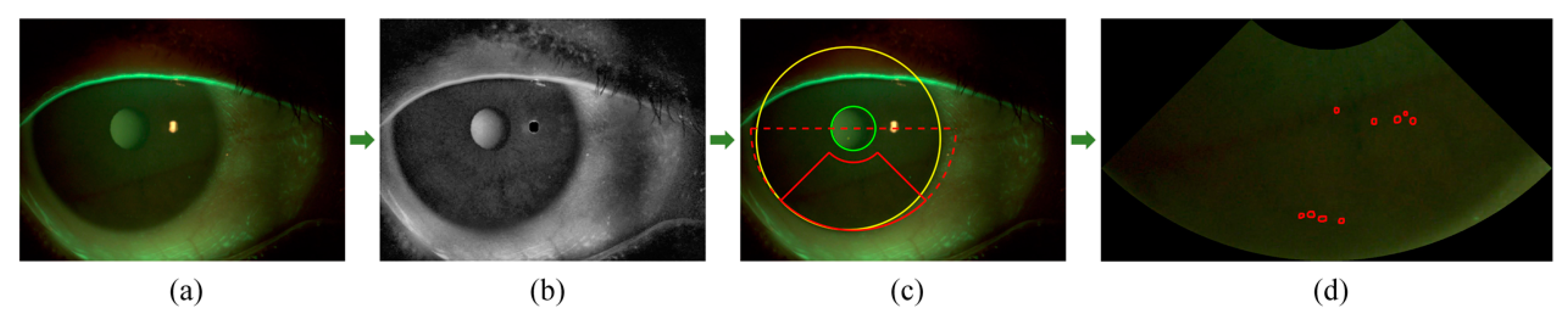 Diagnostics 13 03533 g002