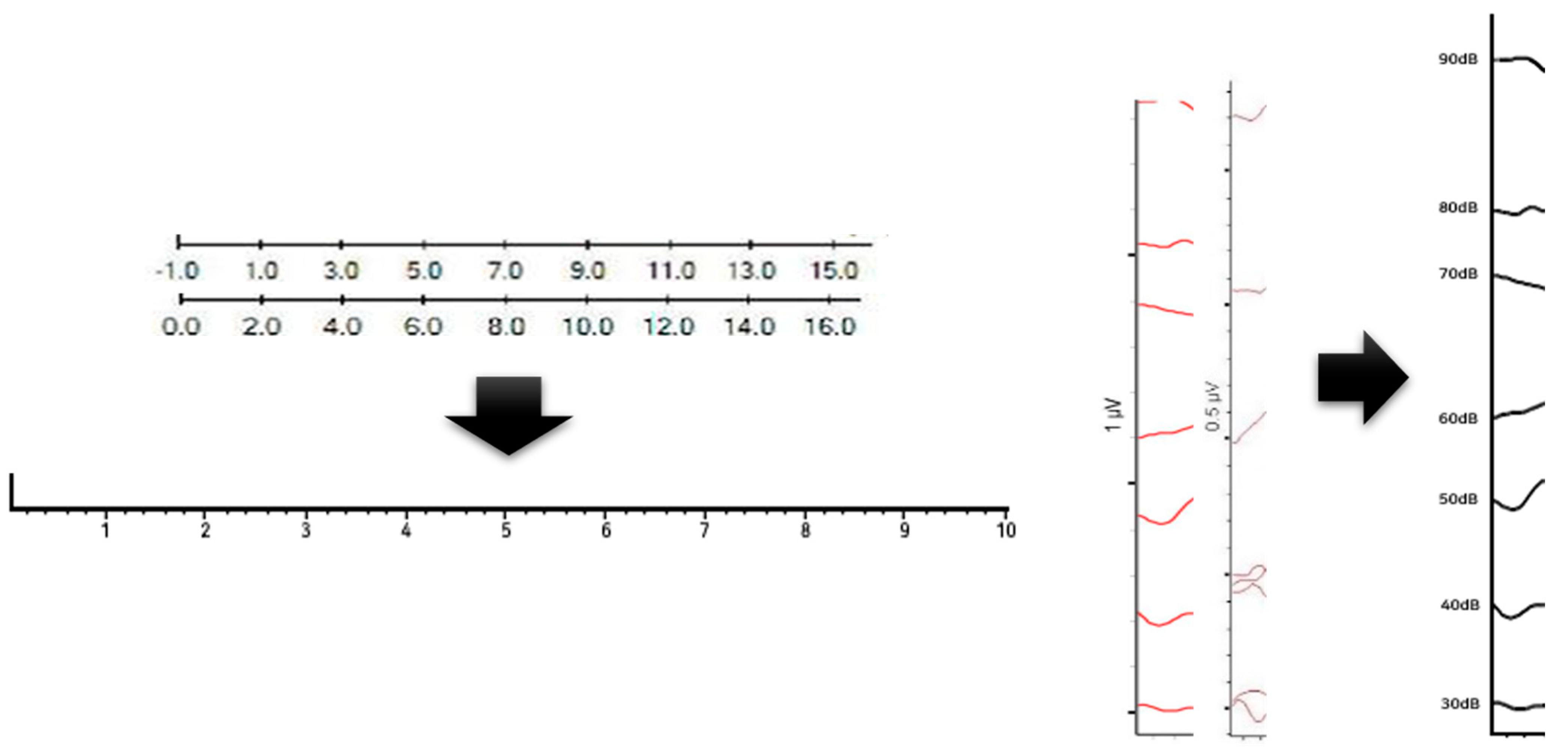 Diagnostics 13 03538 g005