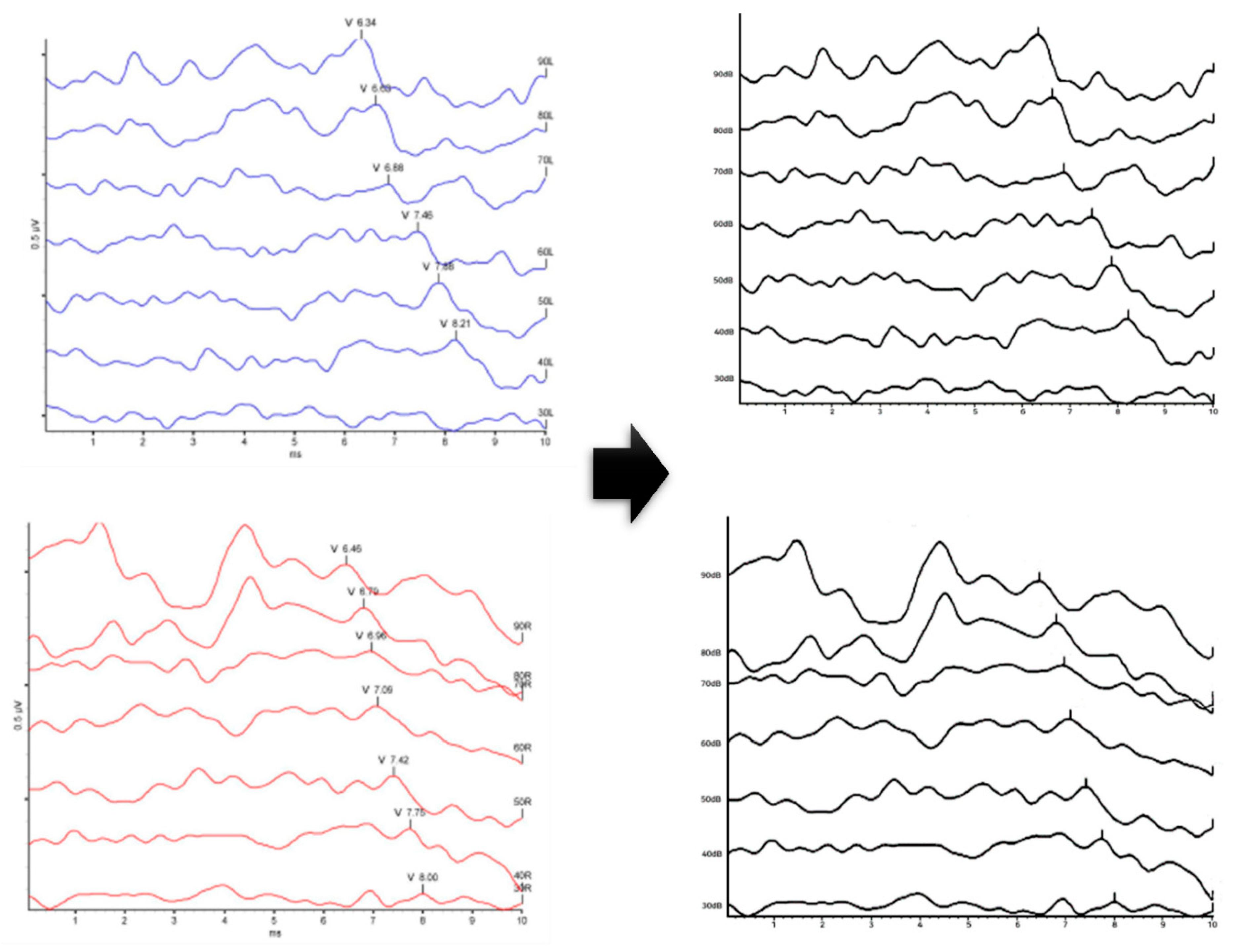 Diagnostics 13 03538 g006