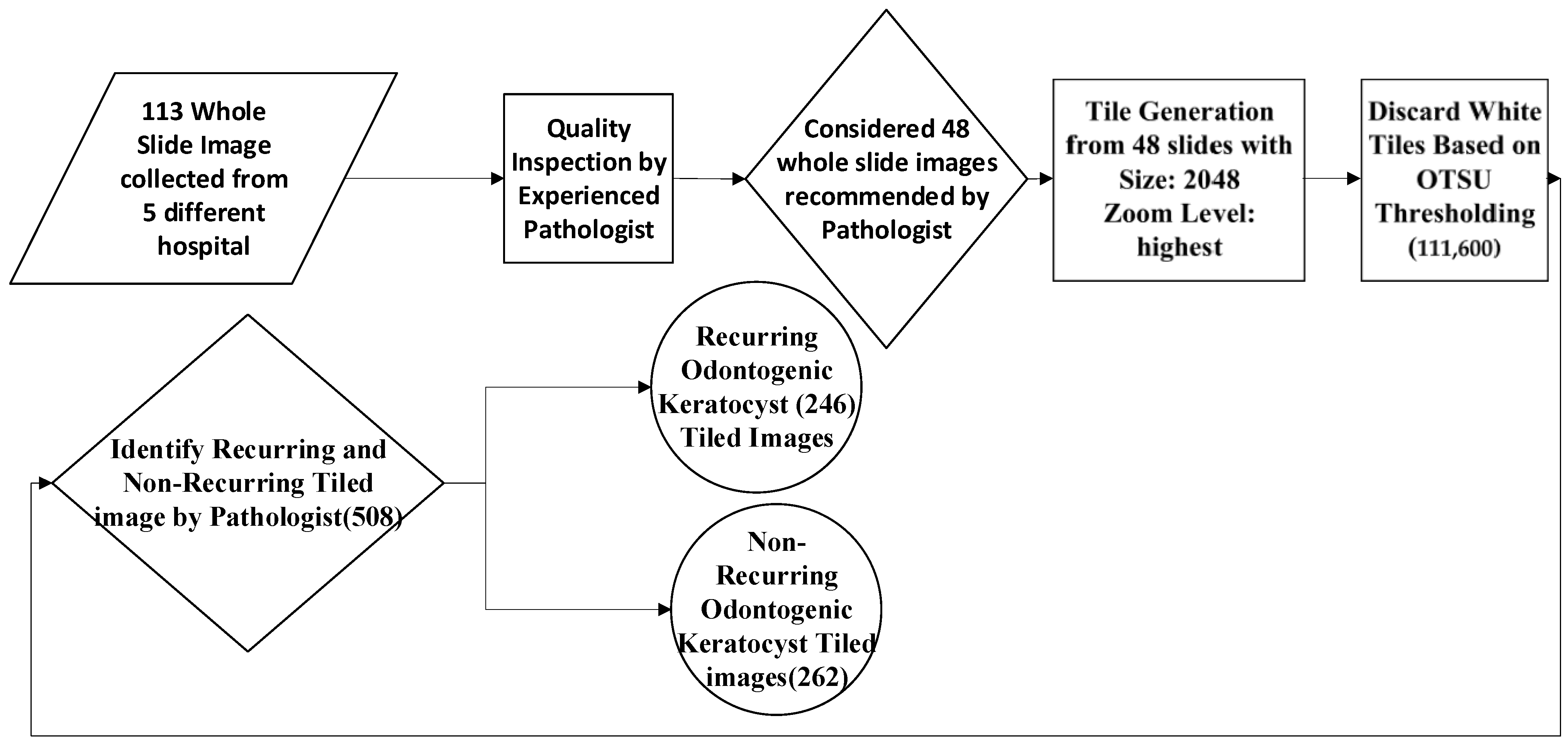 Diagnostics 13 03539 g003