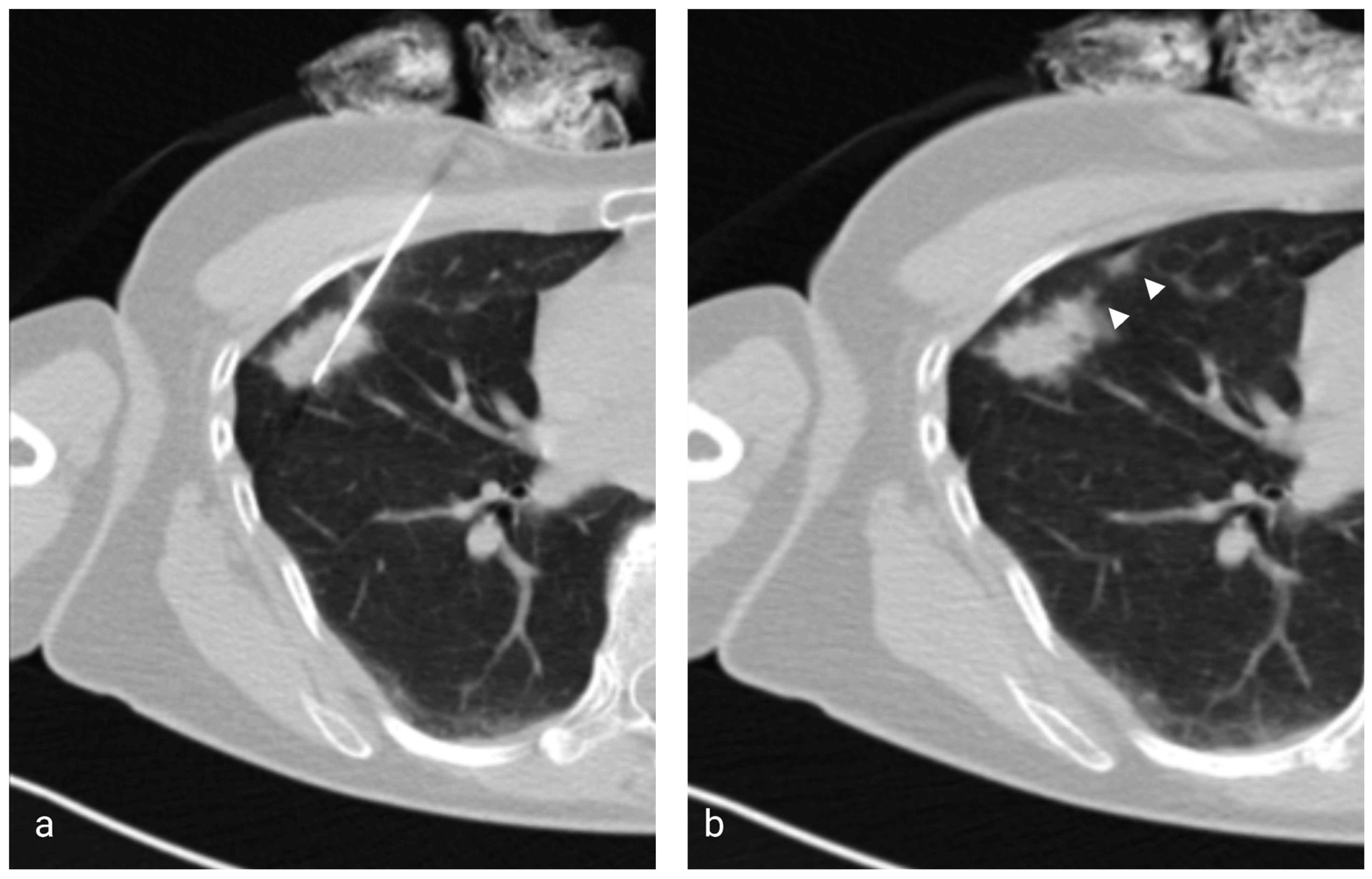 Diagnostics 13 03546 g001