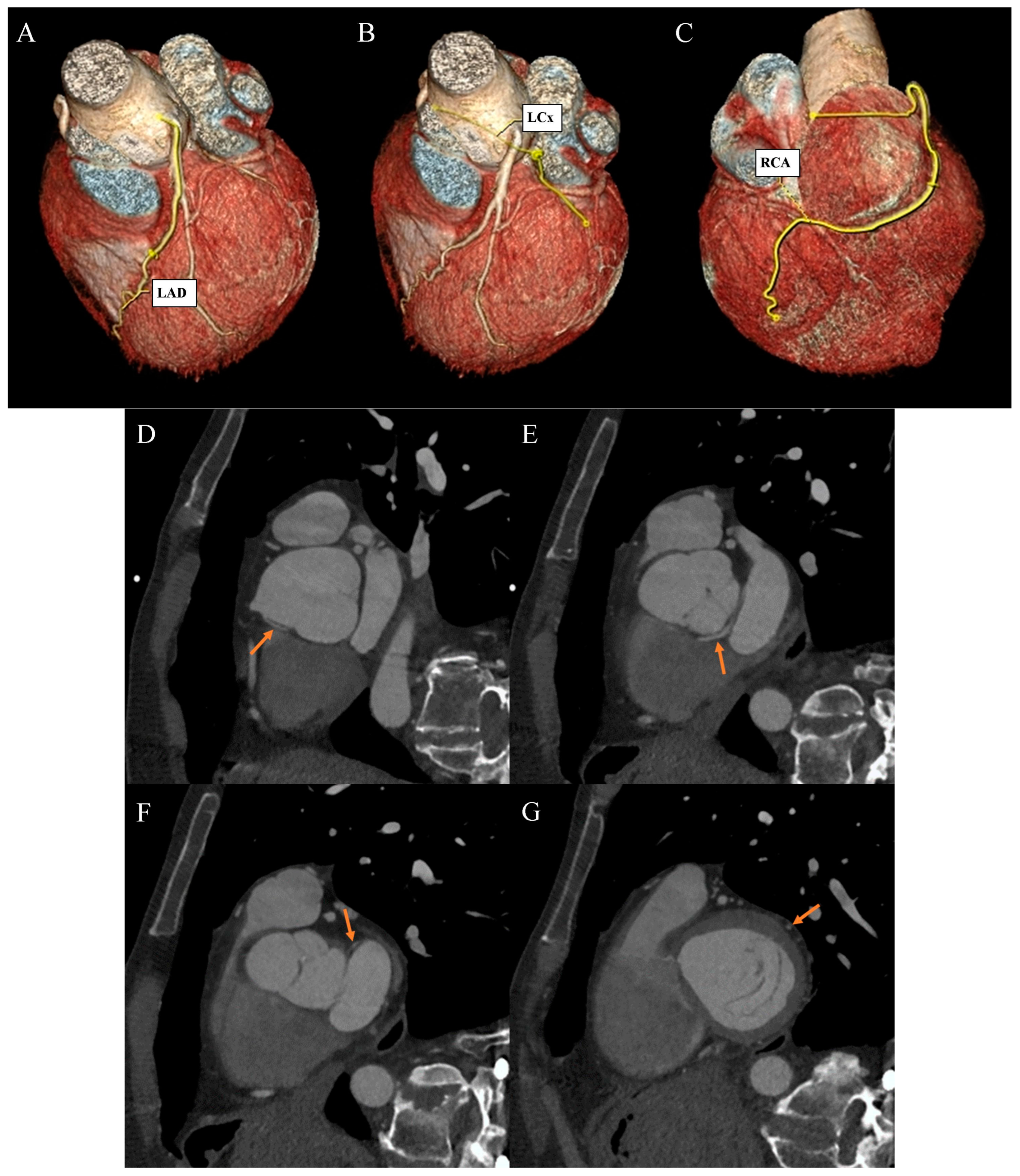 Diagnostics 13 03555 g002