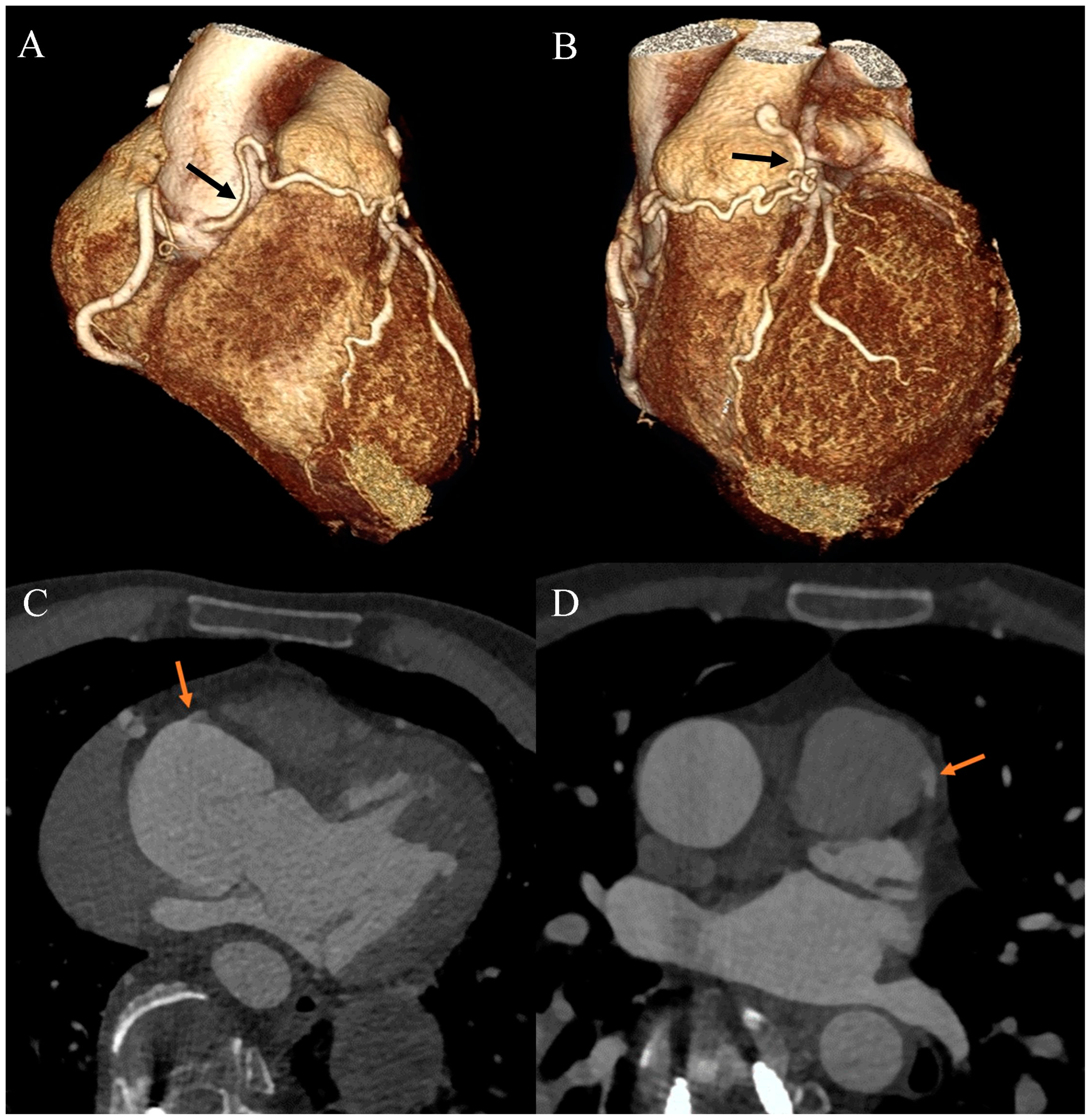Diagnostics 13 03555 g003
