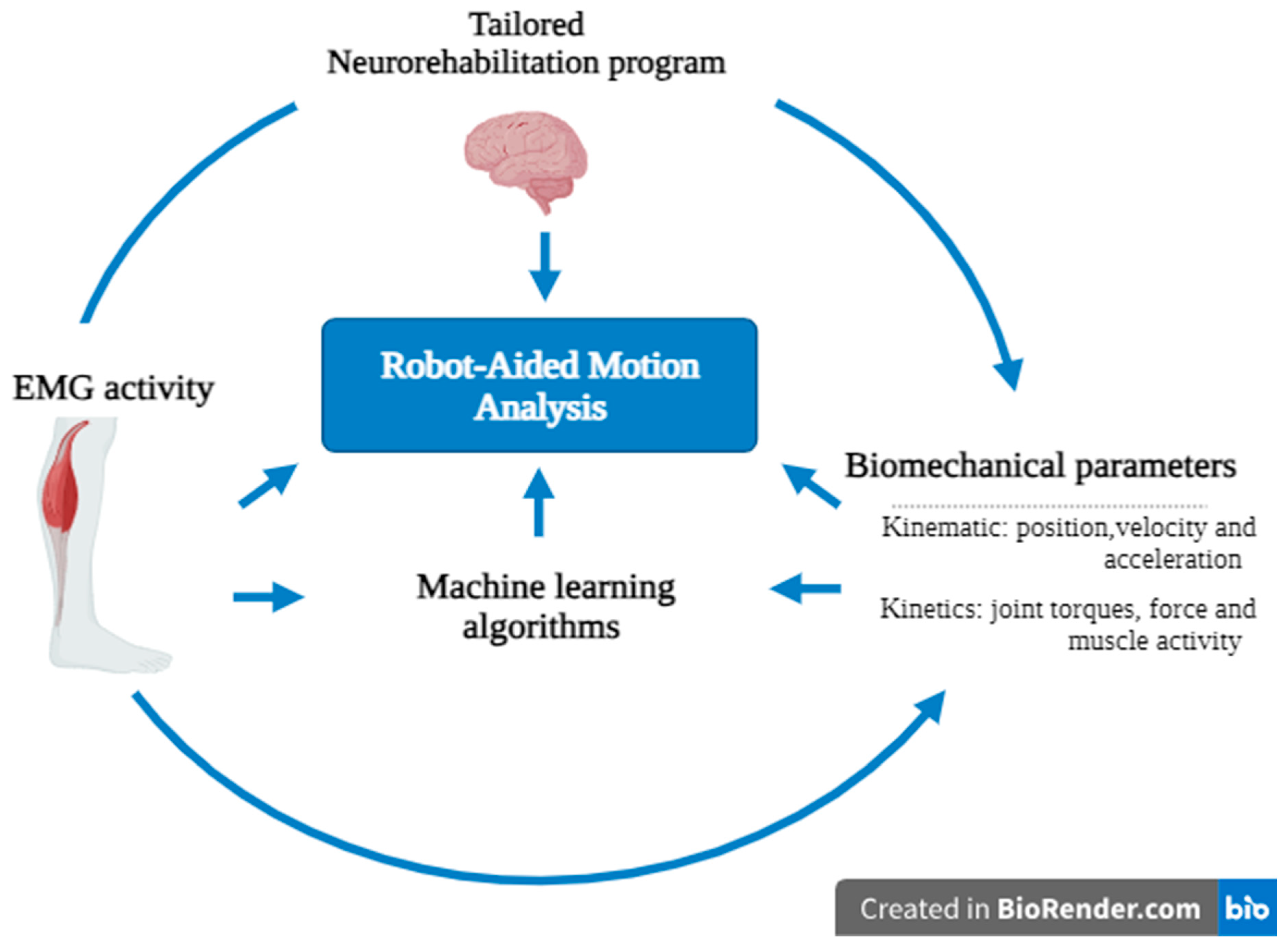 Diagnostics 13 03561 g003