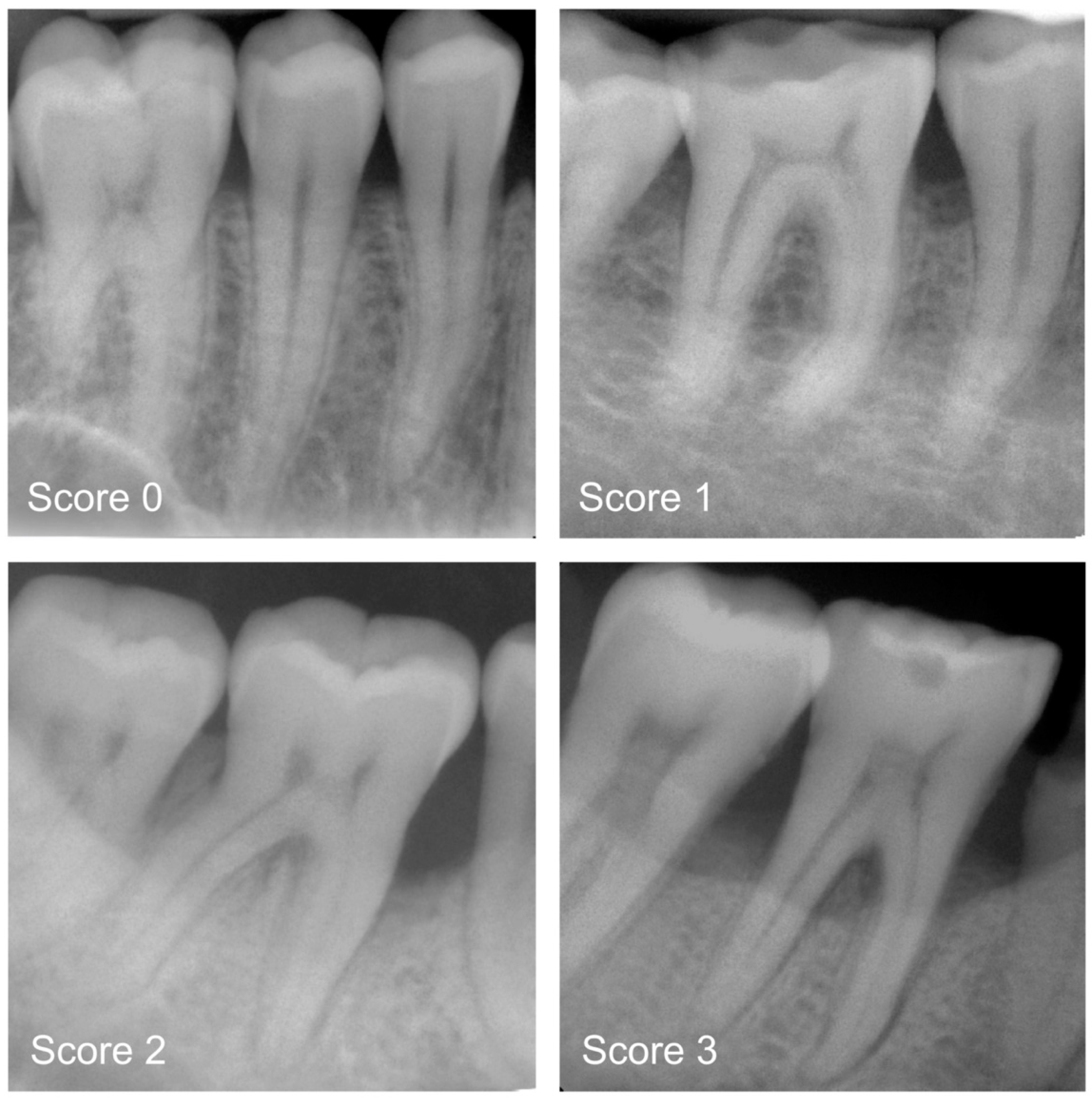 Diagnostics 13 03562 g001