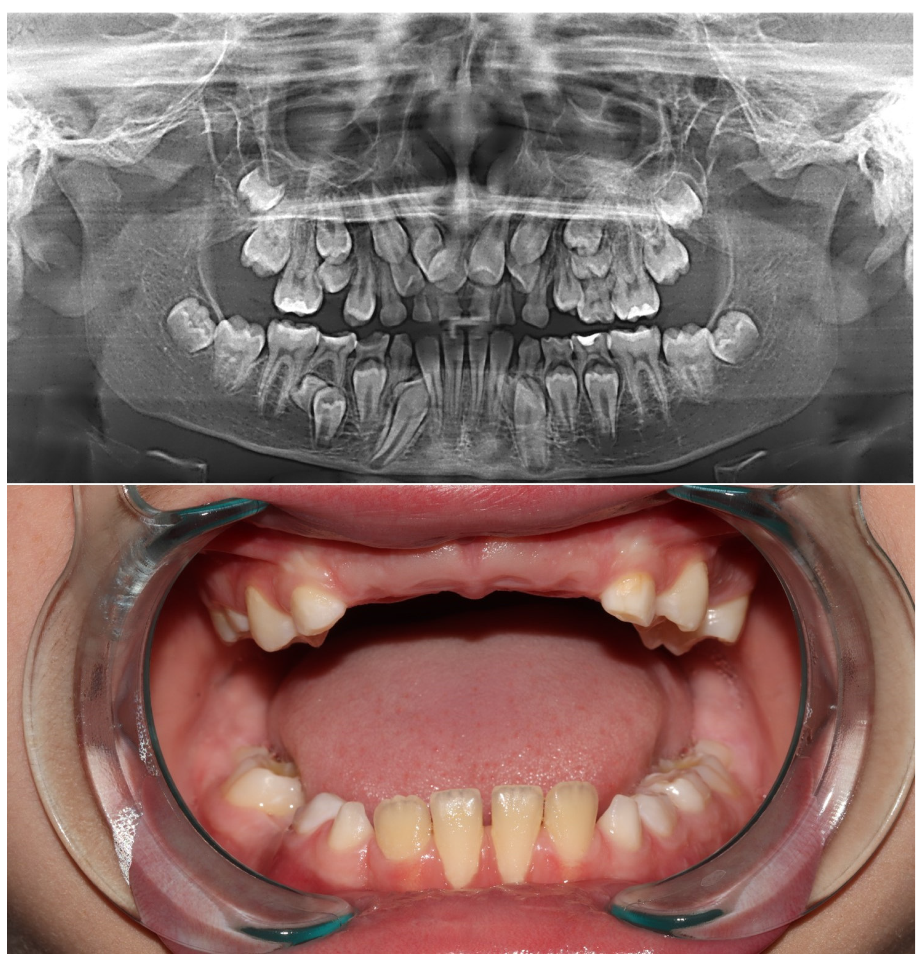 Diagnostics 13 03563 g001