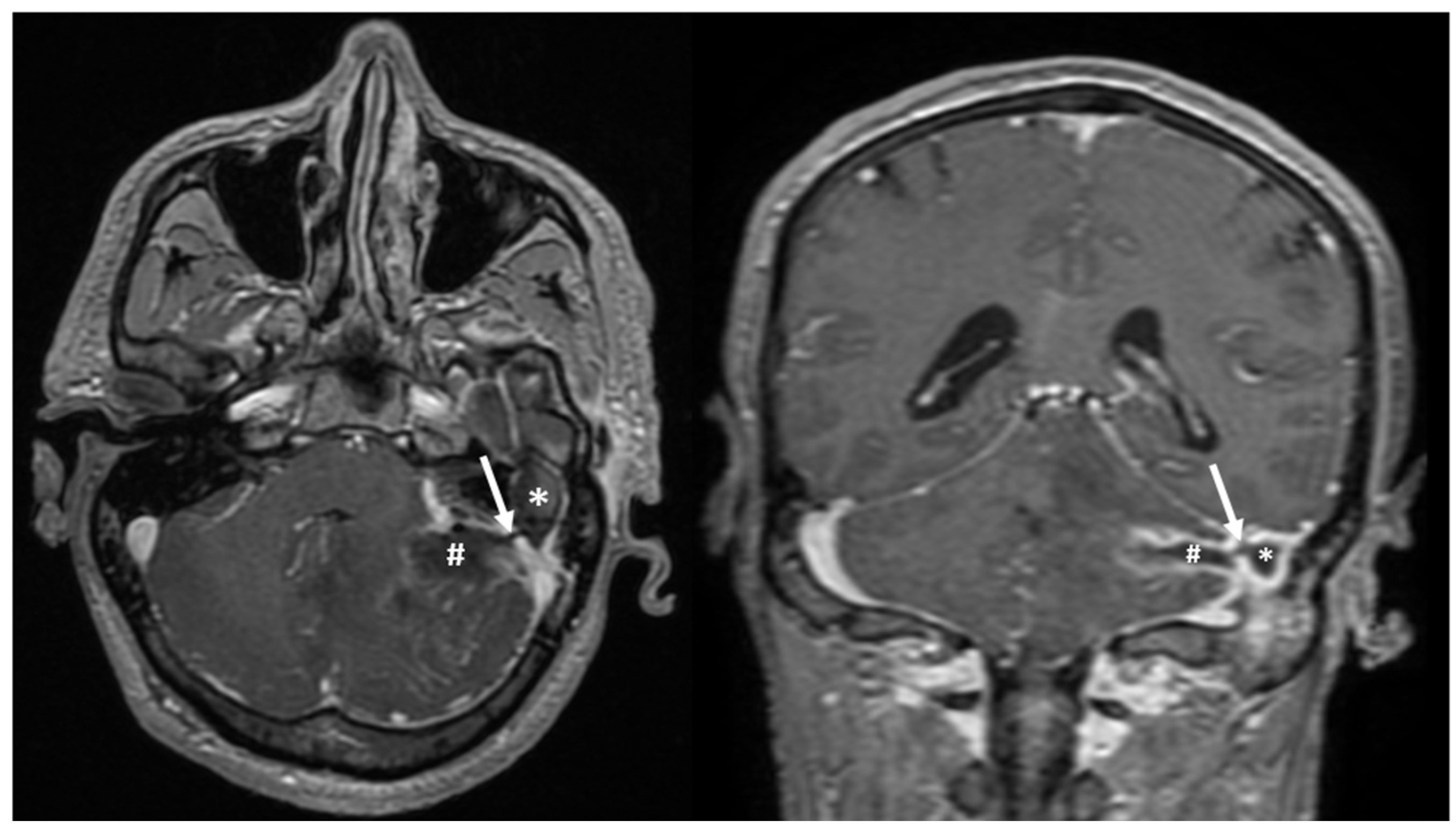 Diagnostics 13 03566 g004