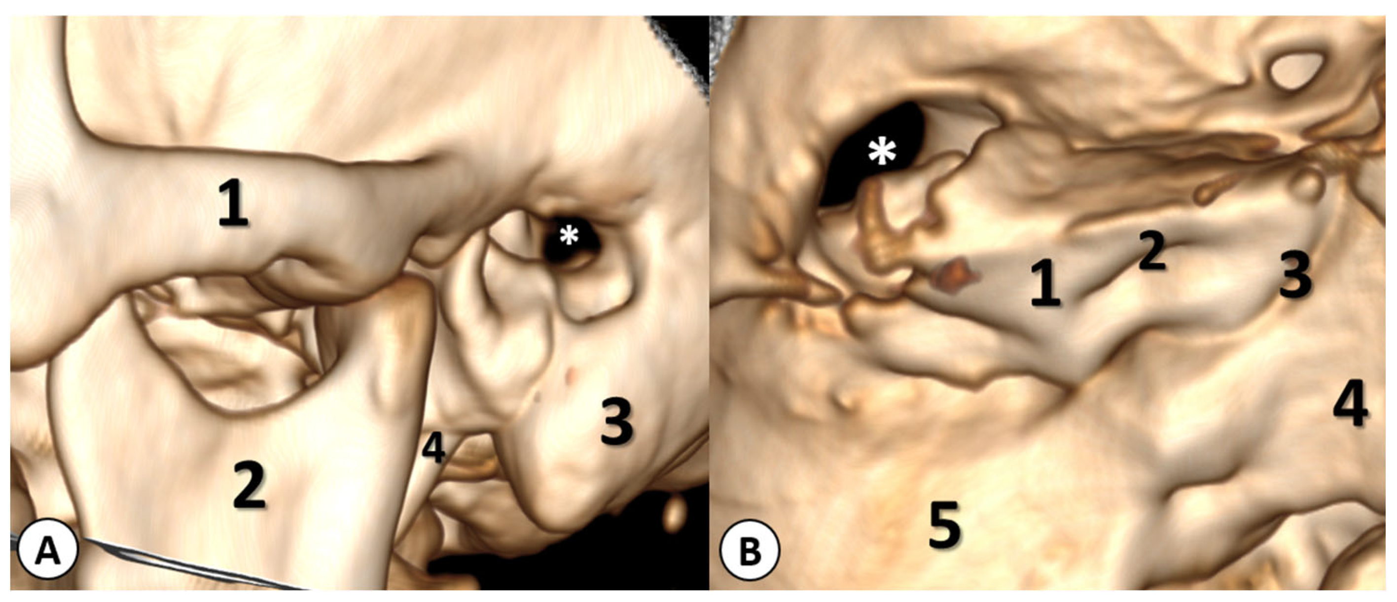 Diagnostics 13 03566 g006