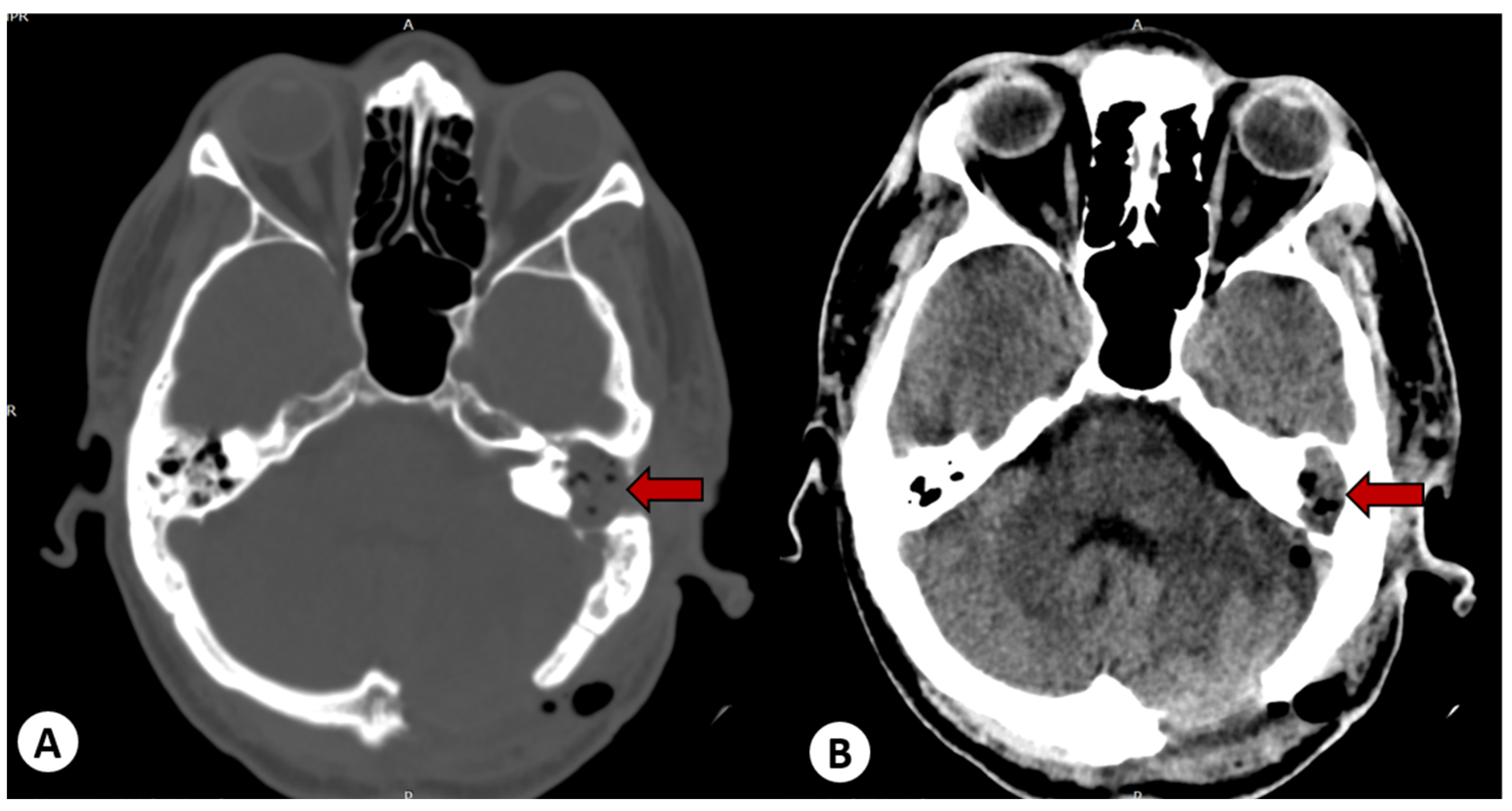 Diagnostics 13 03566 g007