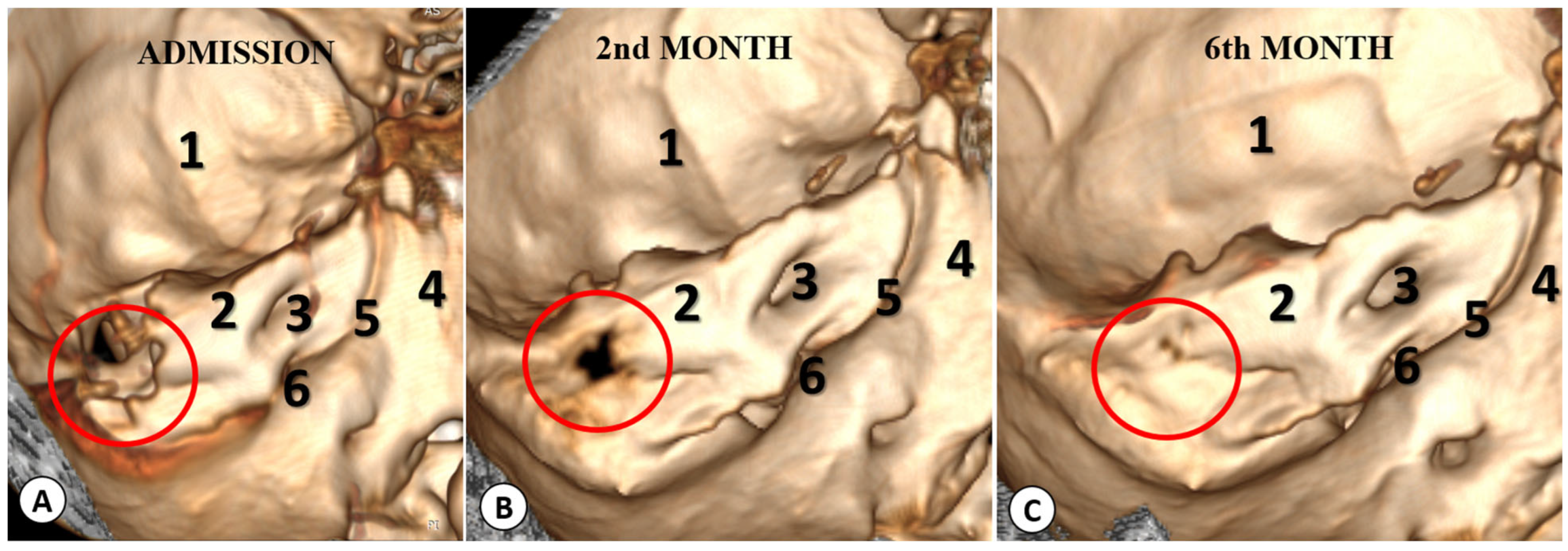 Diagnostics 13 03566 g008