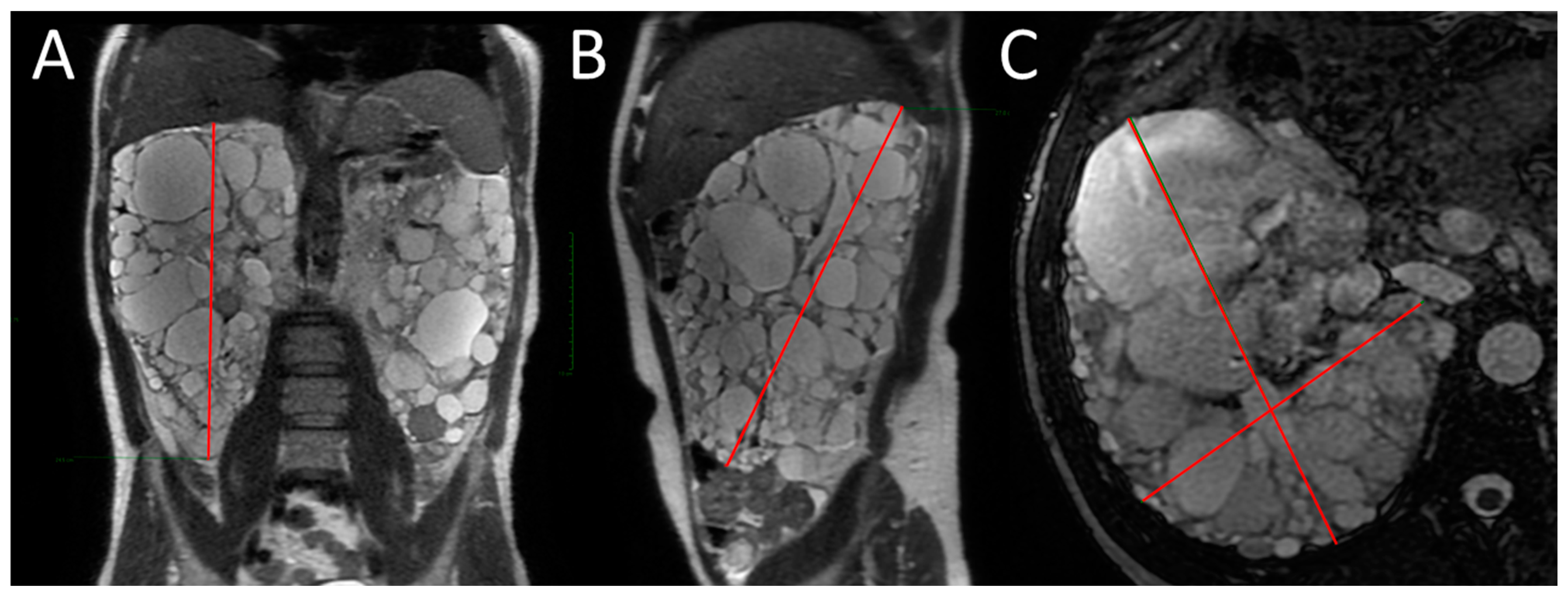 Diagnostics 13 03573 g001