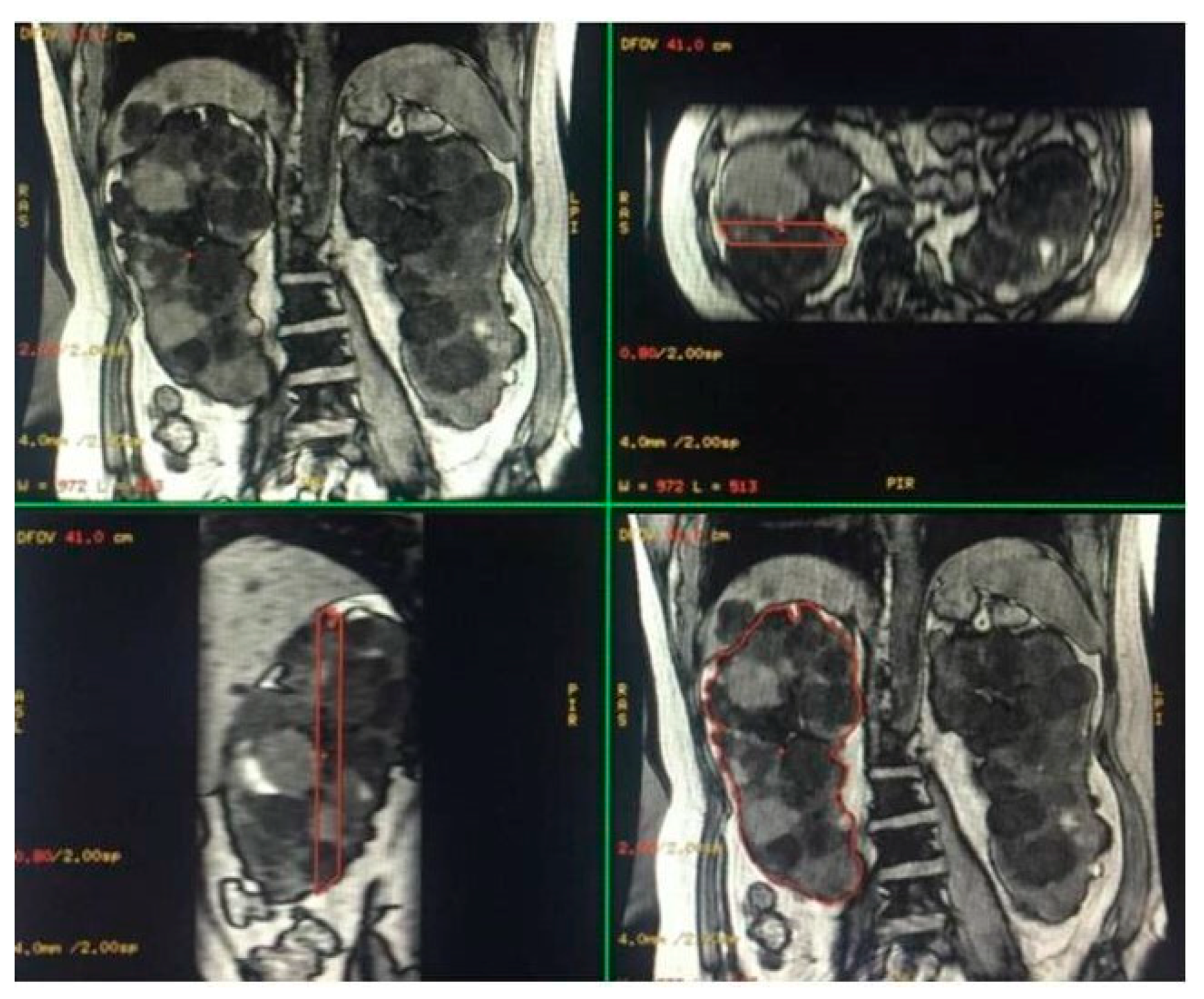 Diagnostics 13 03573 g002