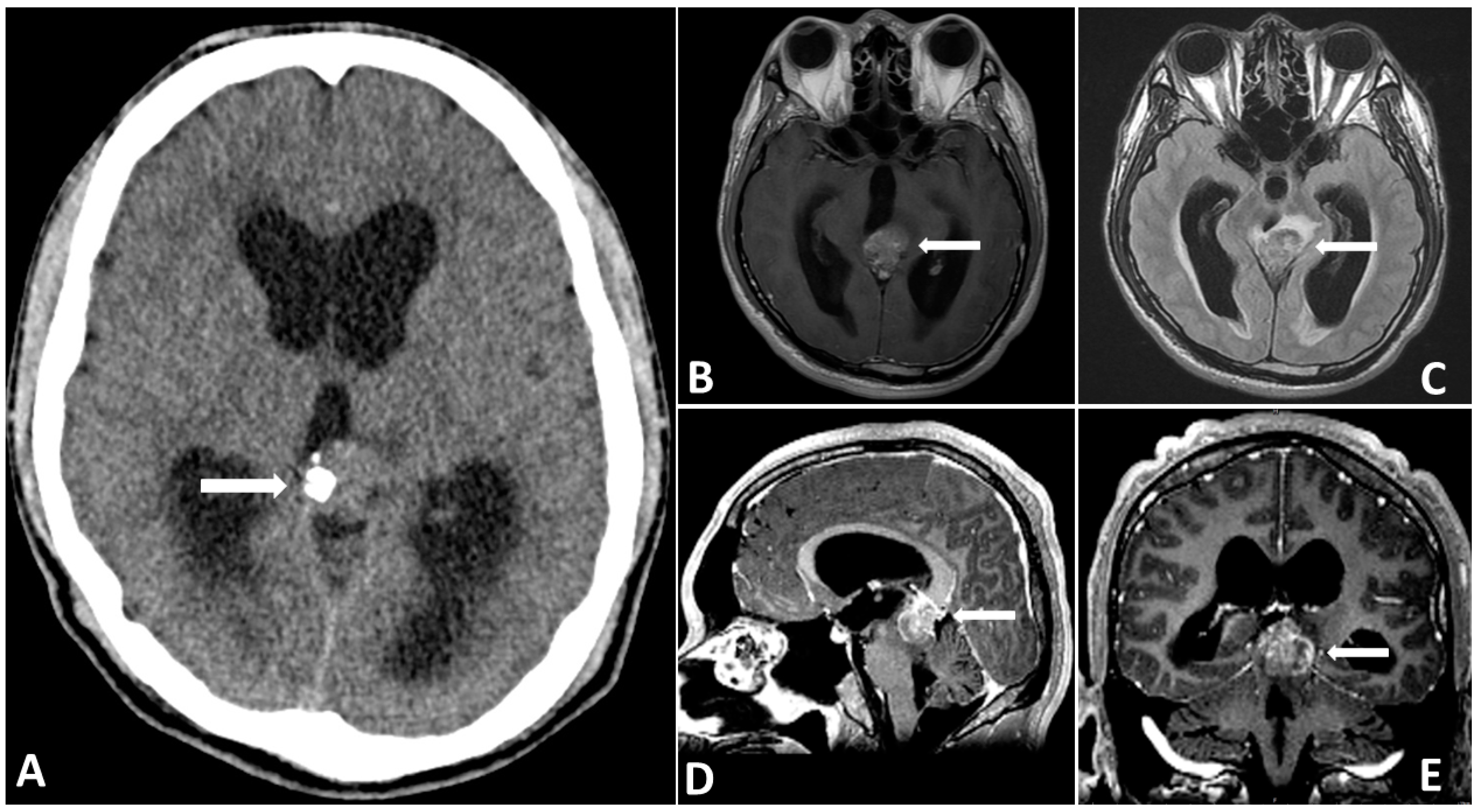Diagnostics 13 03579 g001