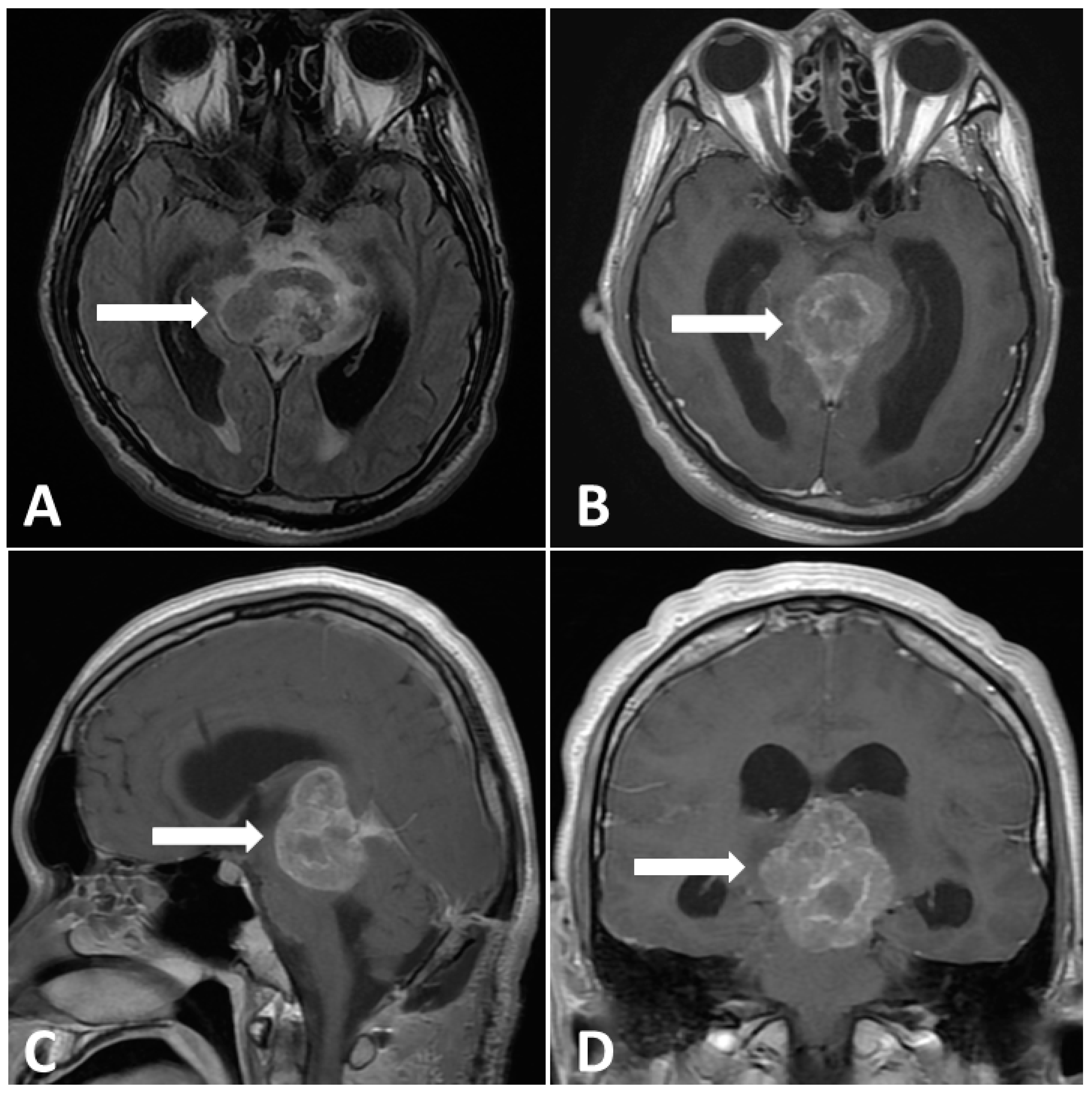 Diagnostics 13 03579 g004