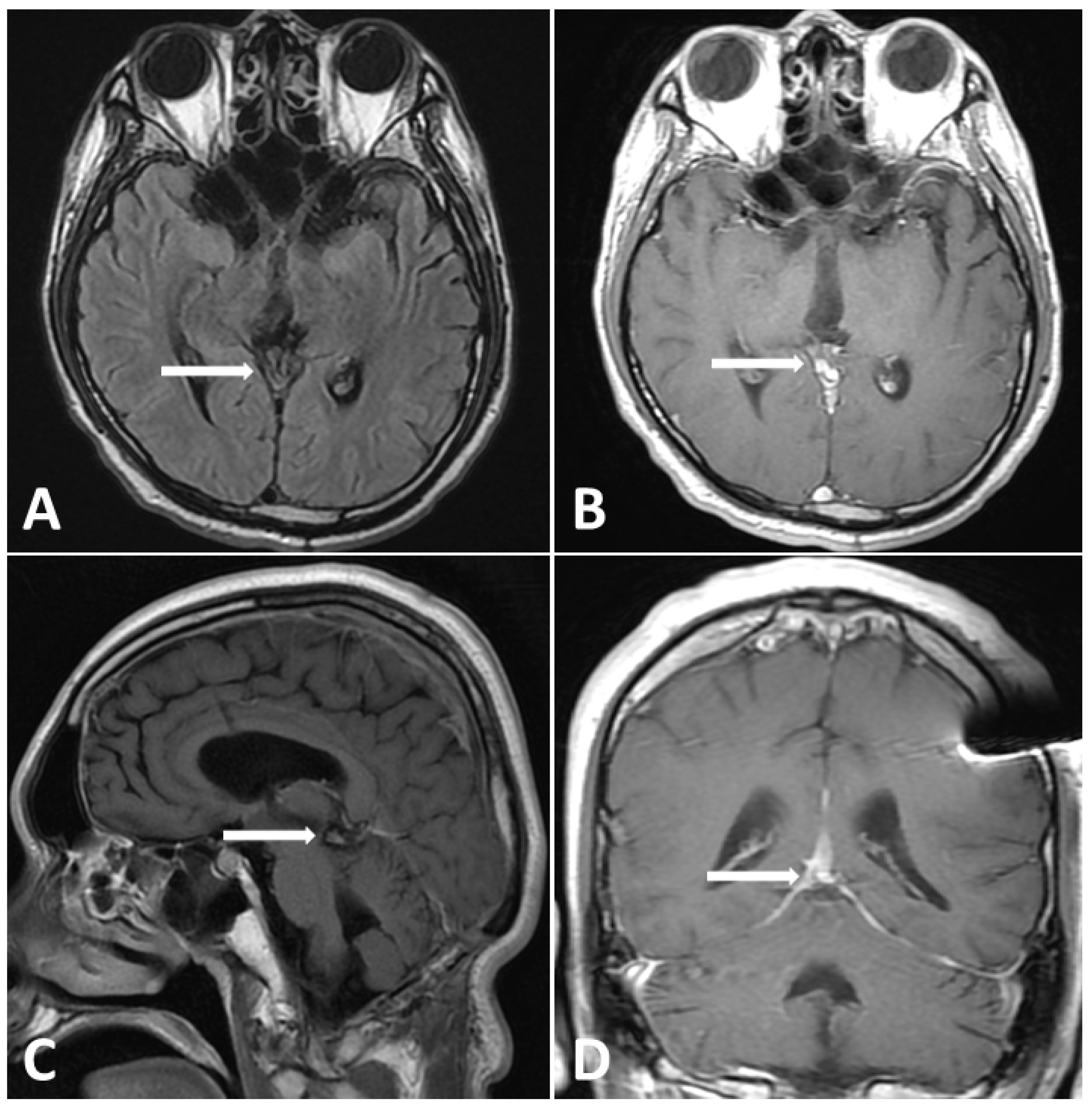 Diagnostics 13 03579 g005