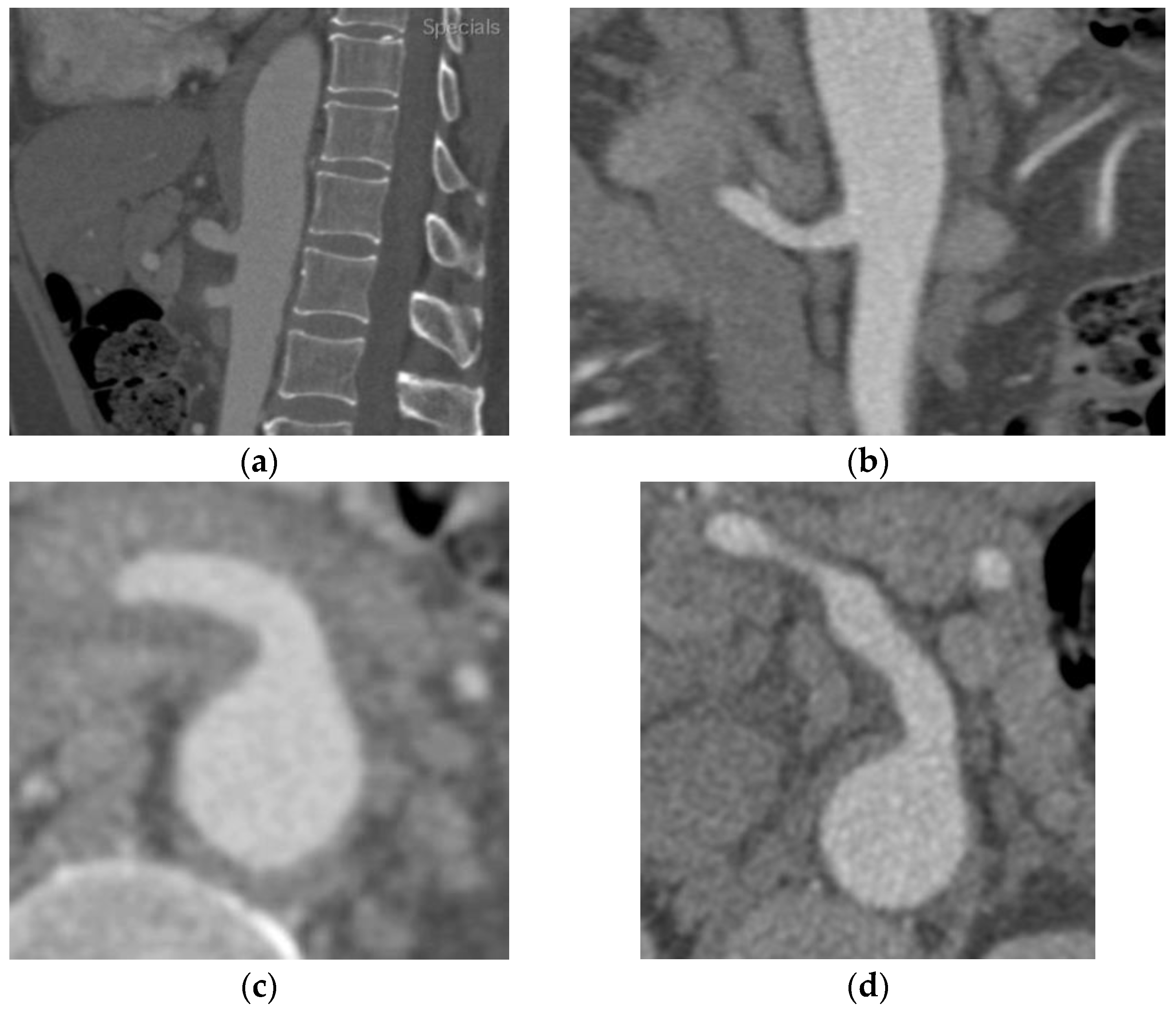 Diagnostics 13 03581 g001