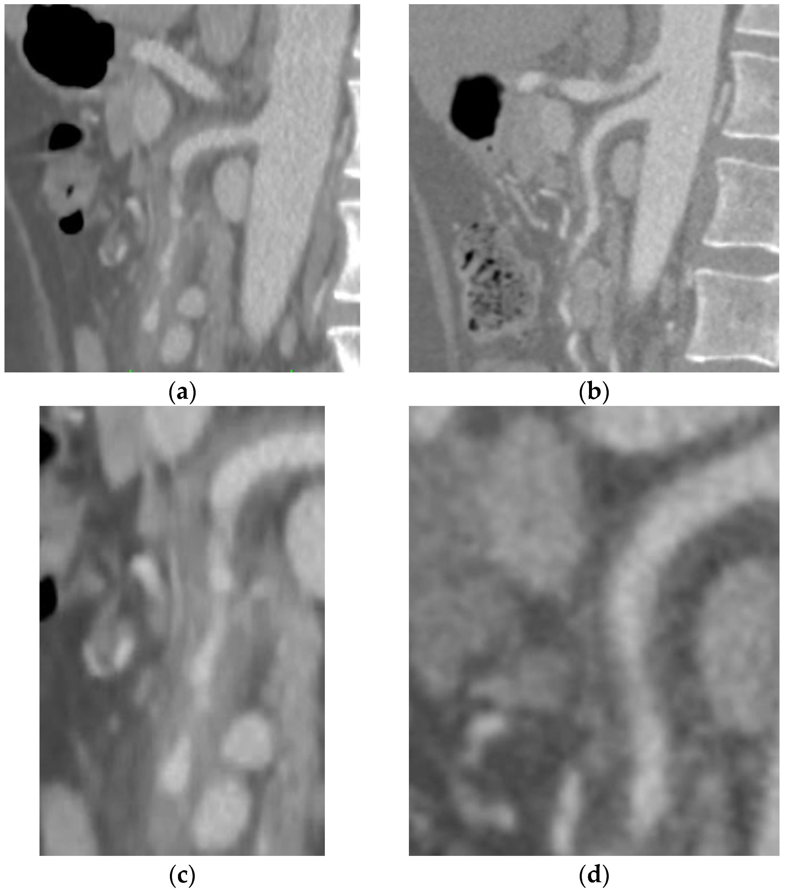 Diagnostics 13 03581 g002