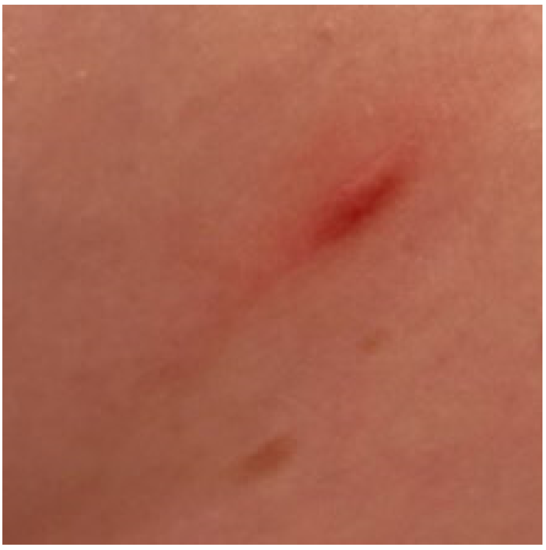 Diagnostics 13 03583 g001