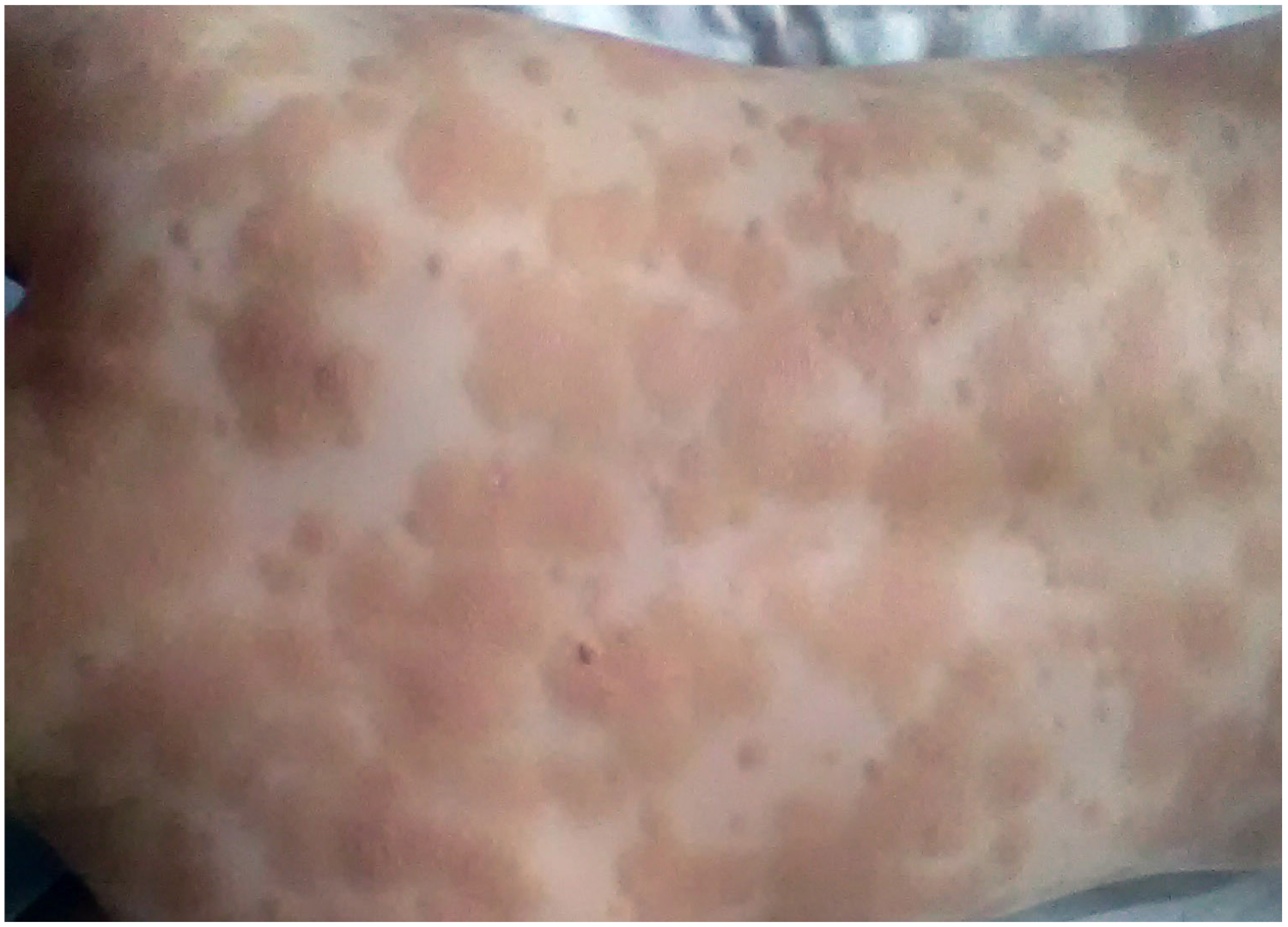 Diagnostics 13 03583 g002