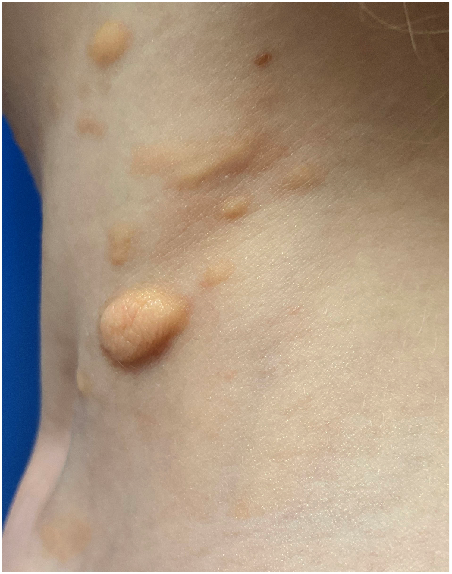 Diagnostics 13 03583 g003