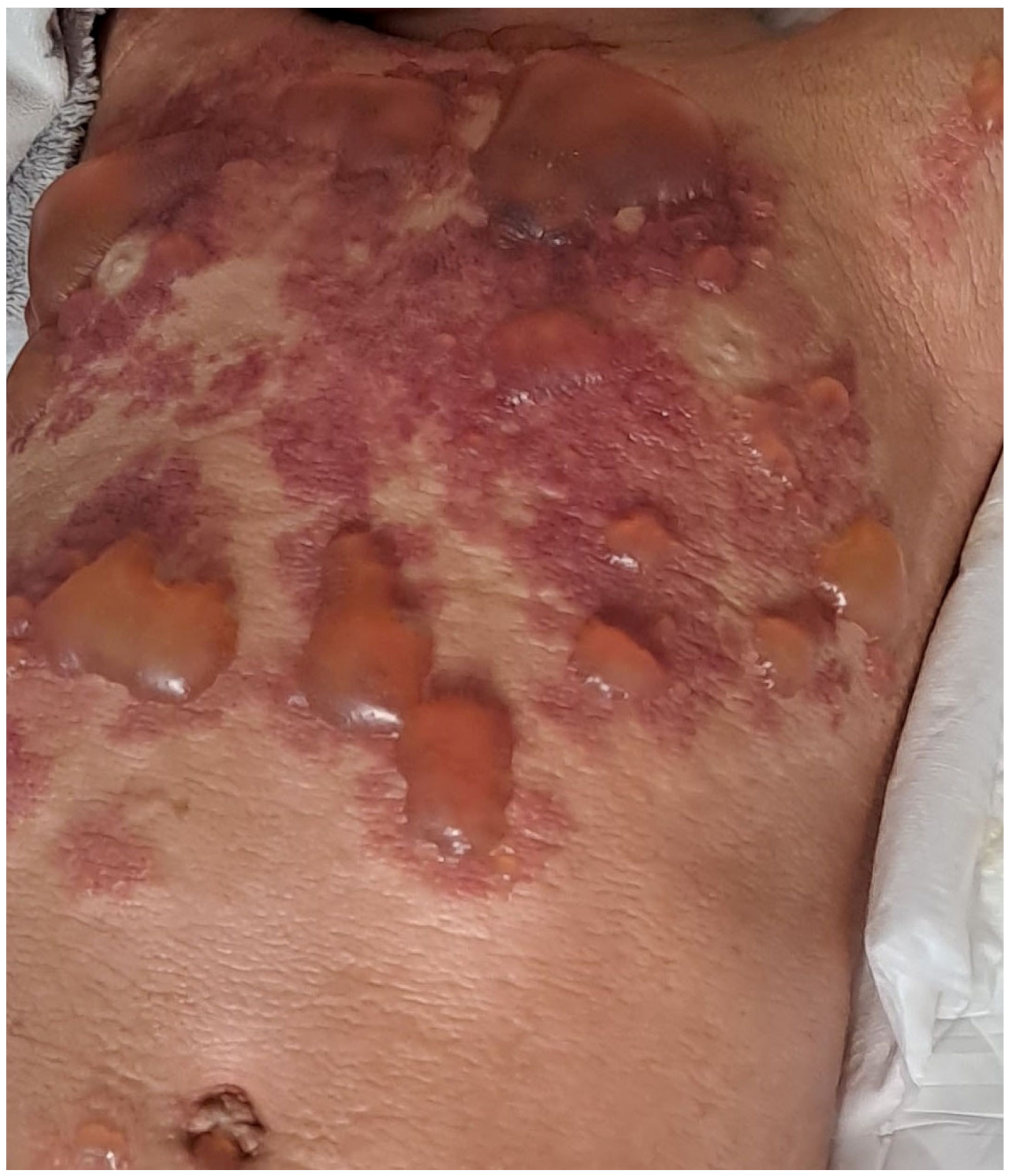 Diagnostics 13 03583 g005