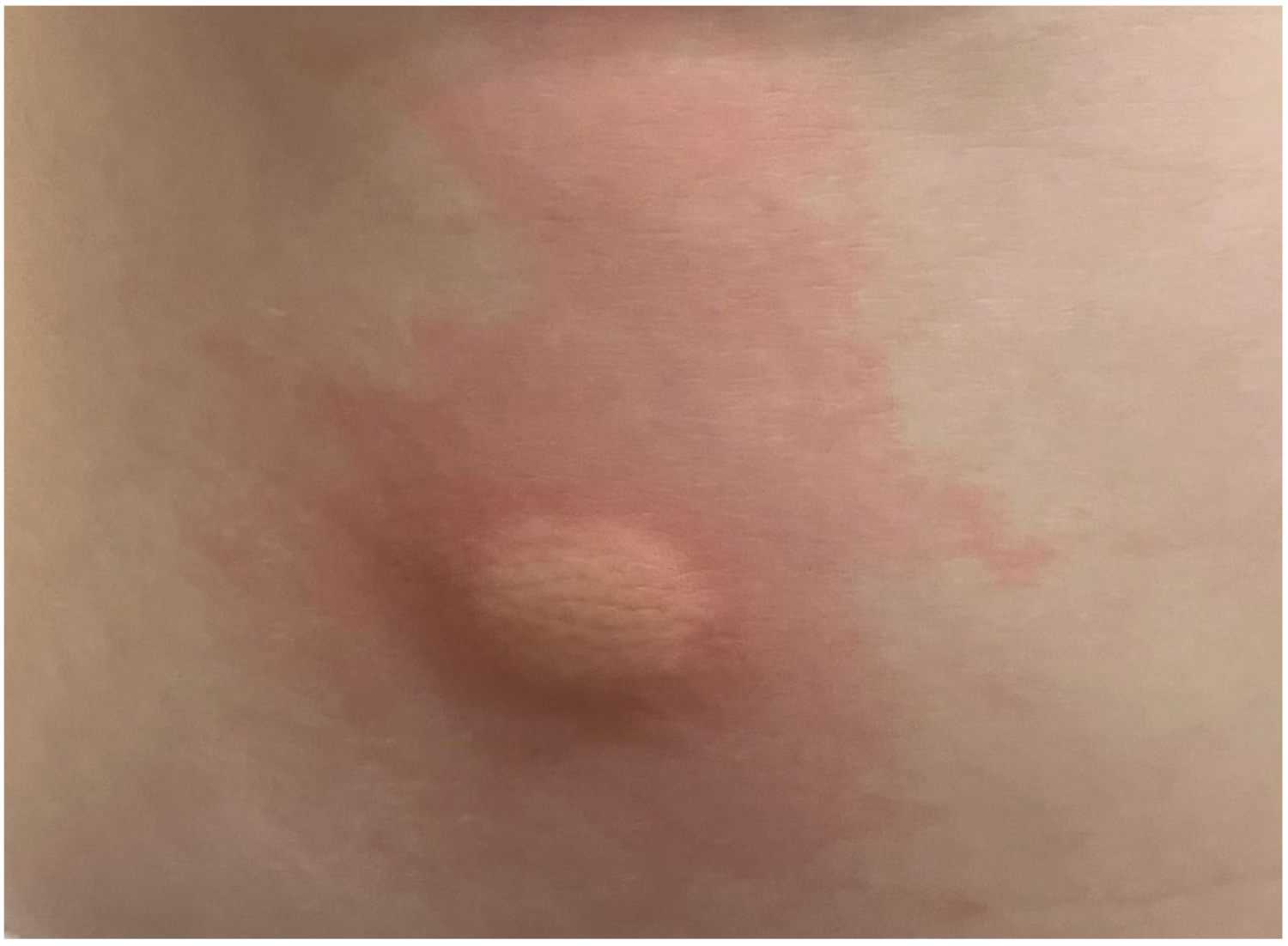 Diagnostics 13 03583 g006