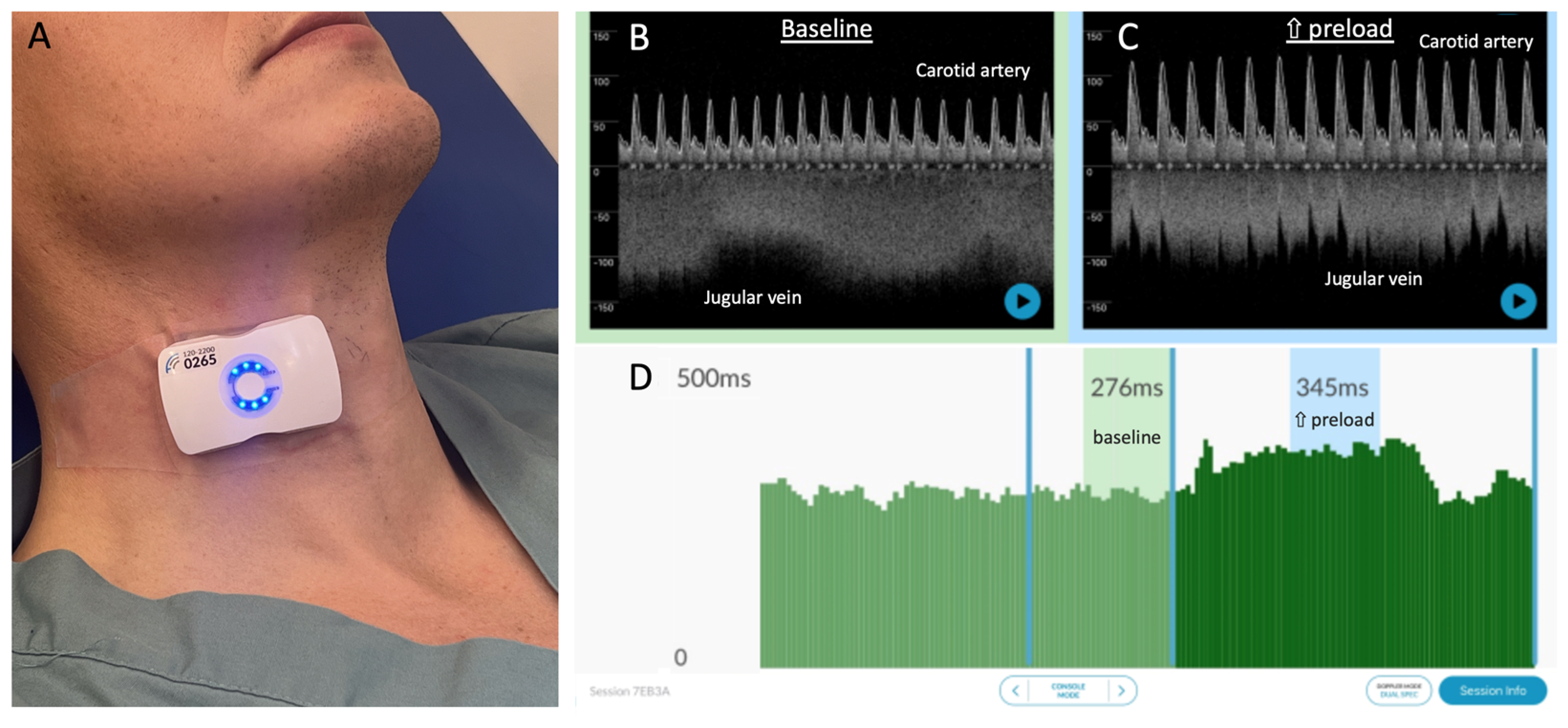 Diagnostics 13 03591 g001