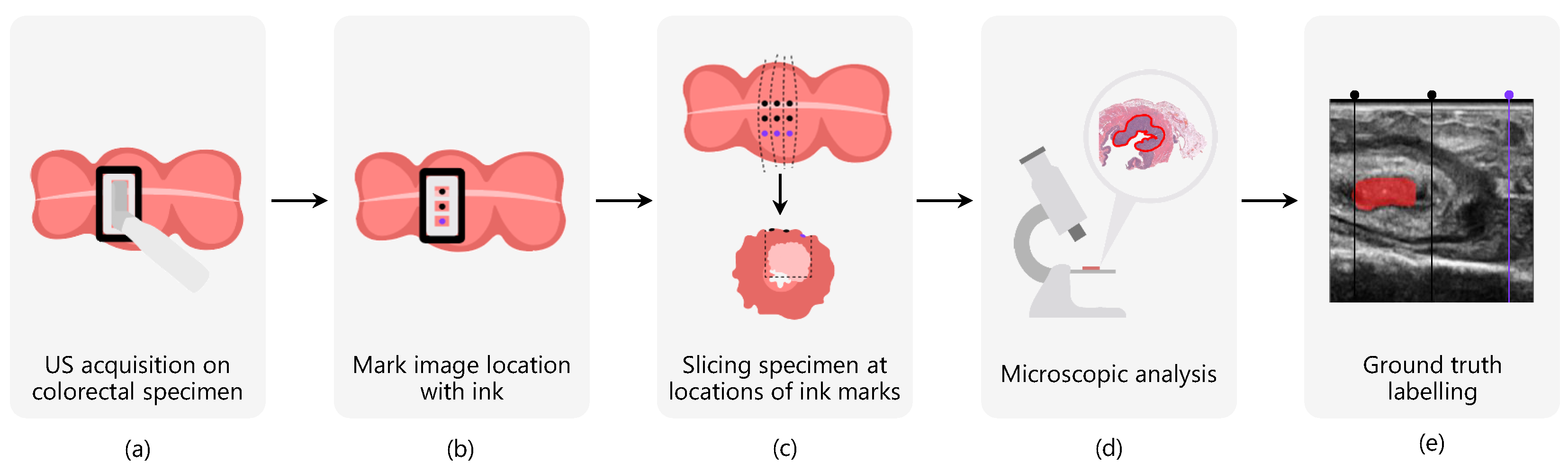 Diagnostics 13 03595 g001