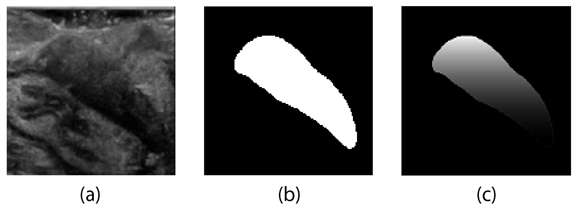 Diagnostics 13 03595 g002