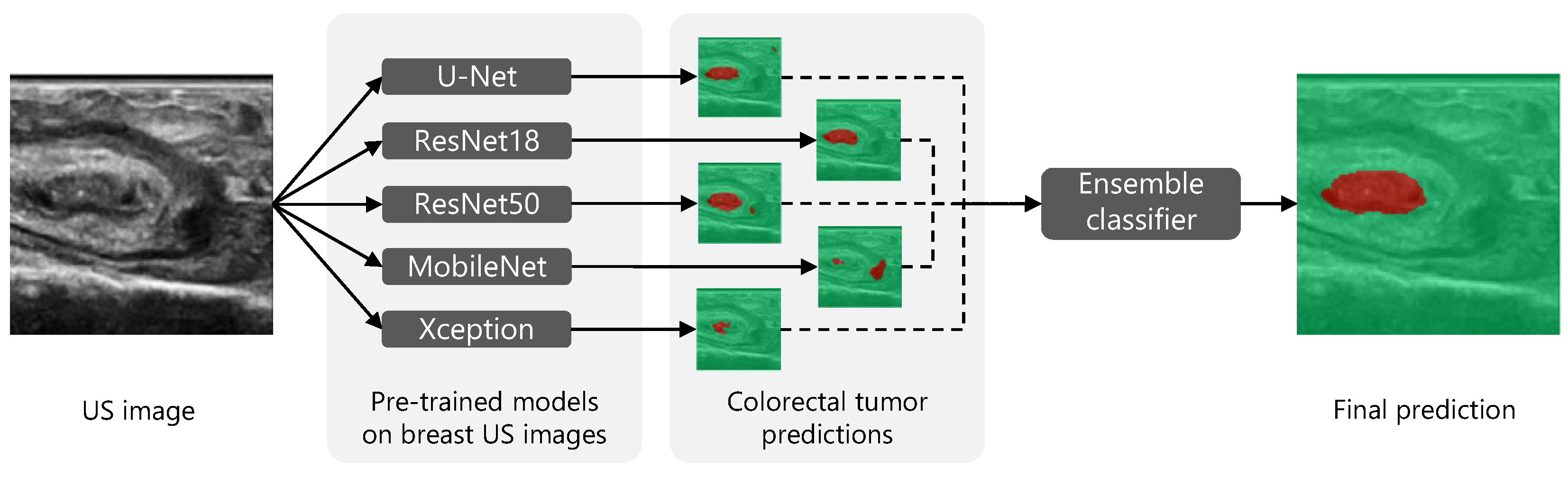 Diagnostics 13 03595 g003
