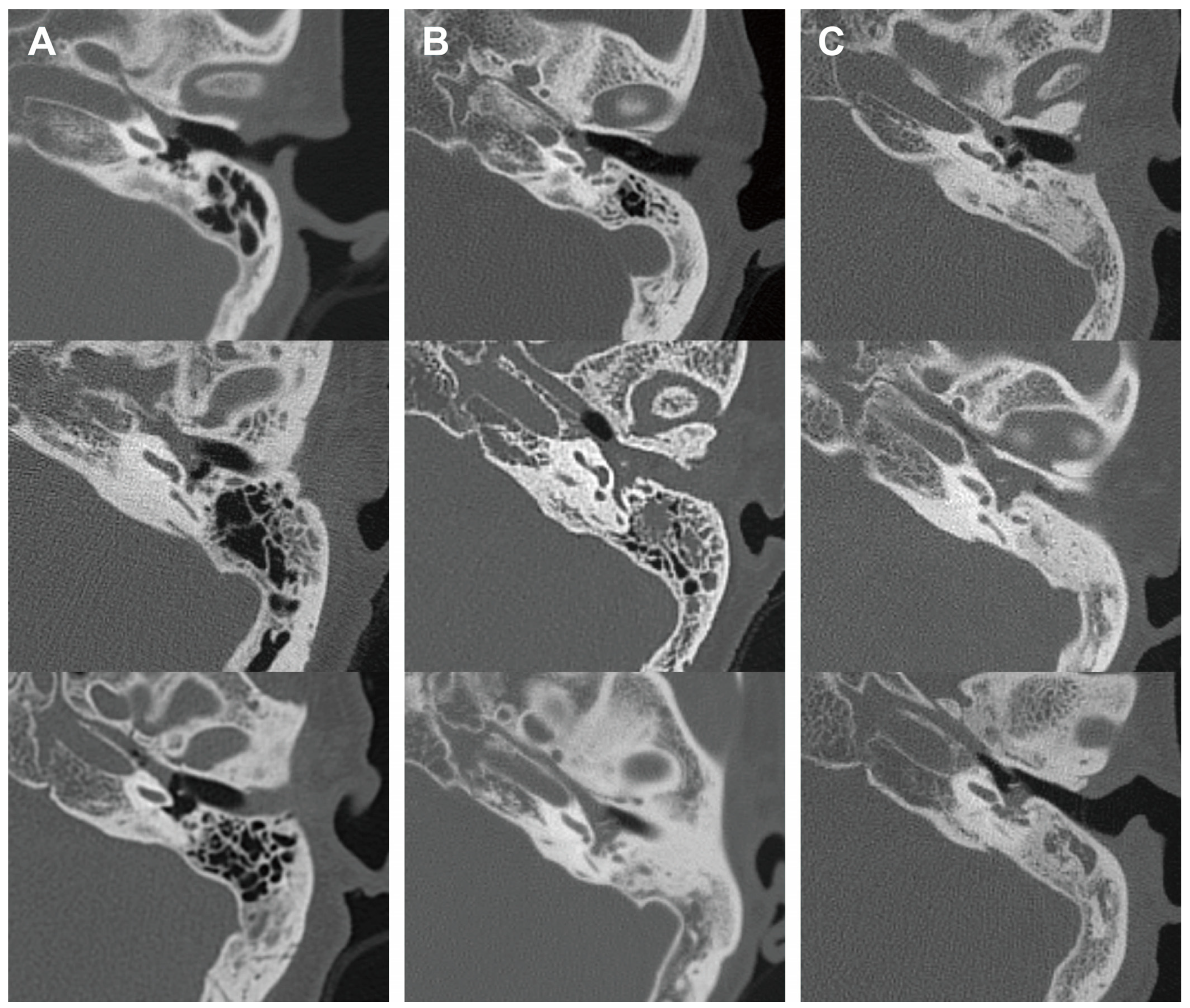 Diagnostics 13 03598 g002