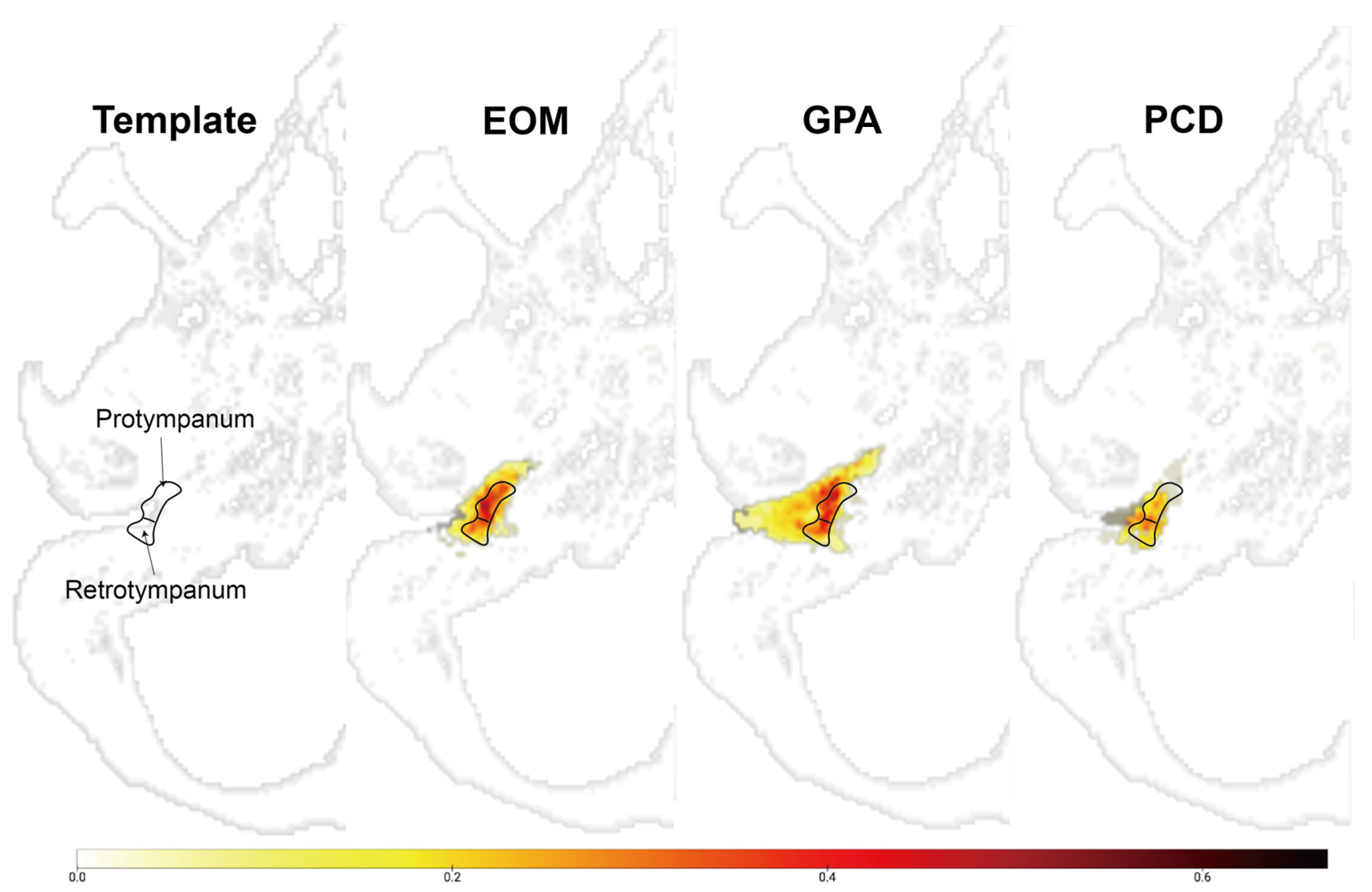 Diagnostics 13 03598 g0a1