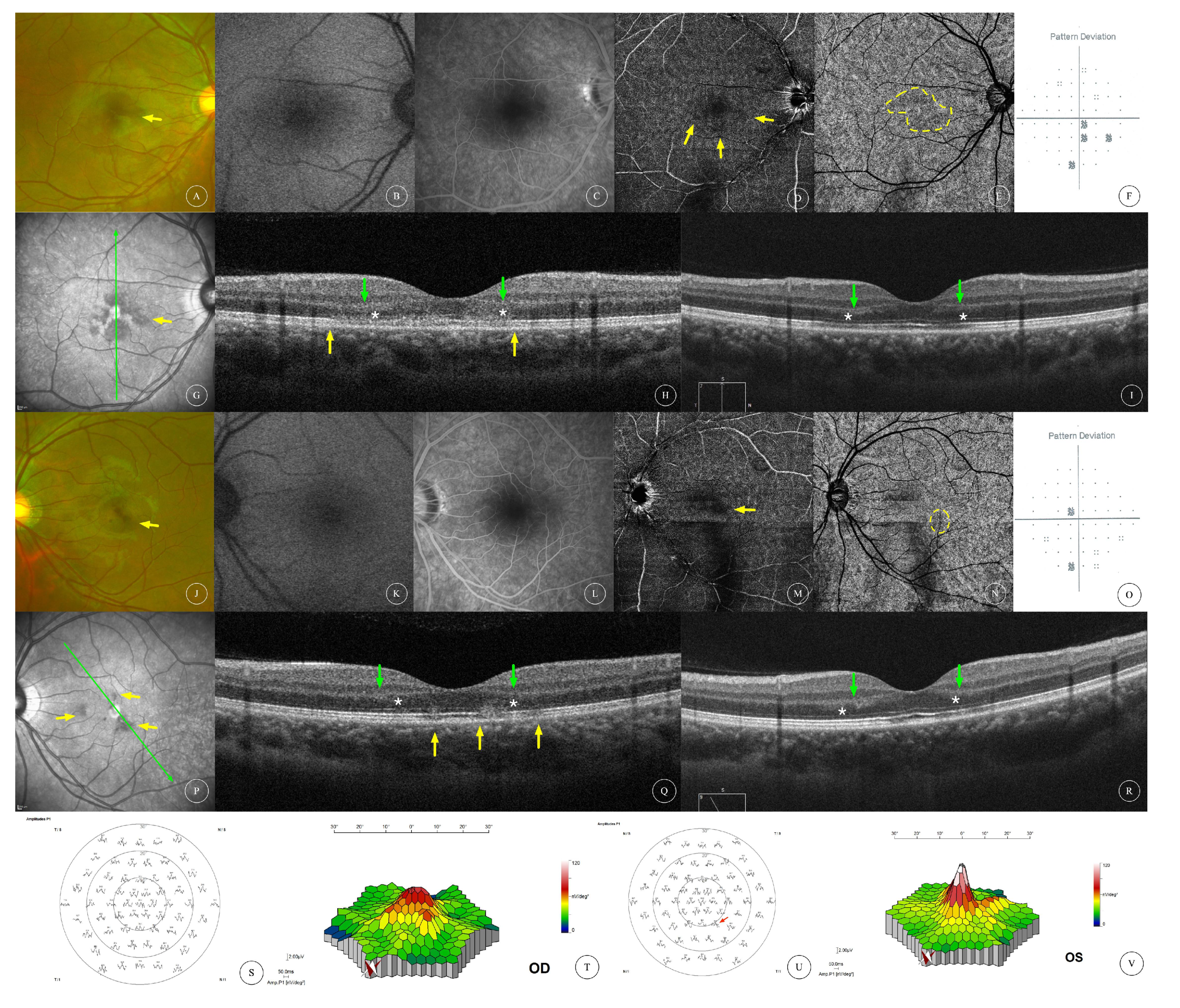 Diagnostics 13 03600 g001