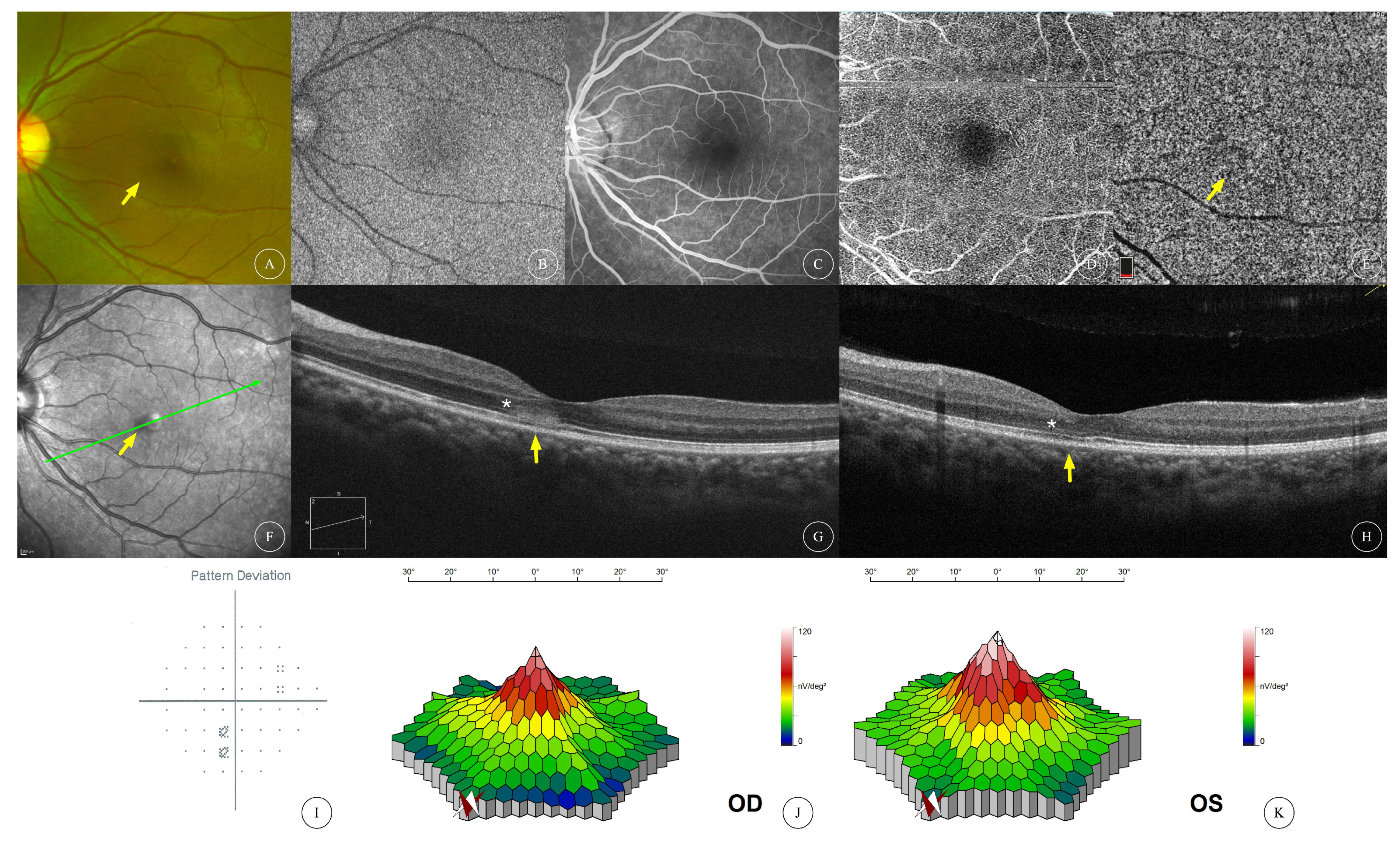 Diagnostics 13 03600 g002