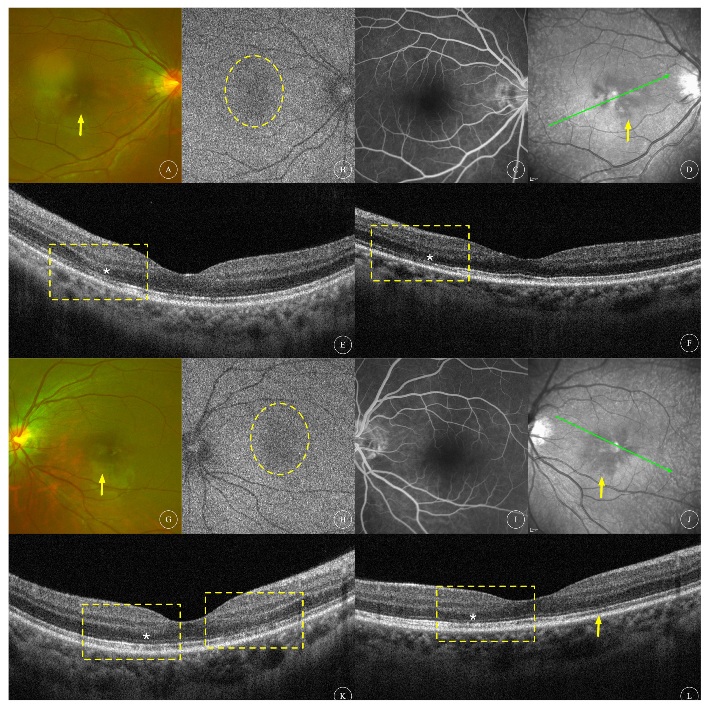 Diagnostics 13 03600 g003