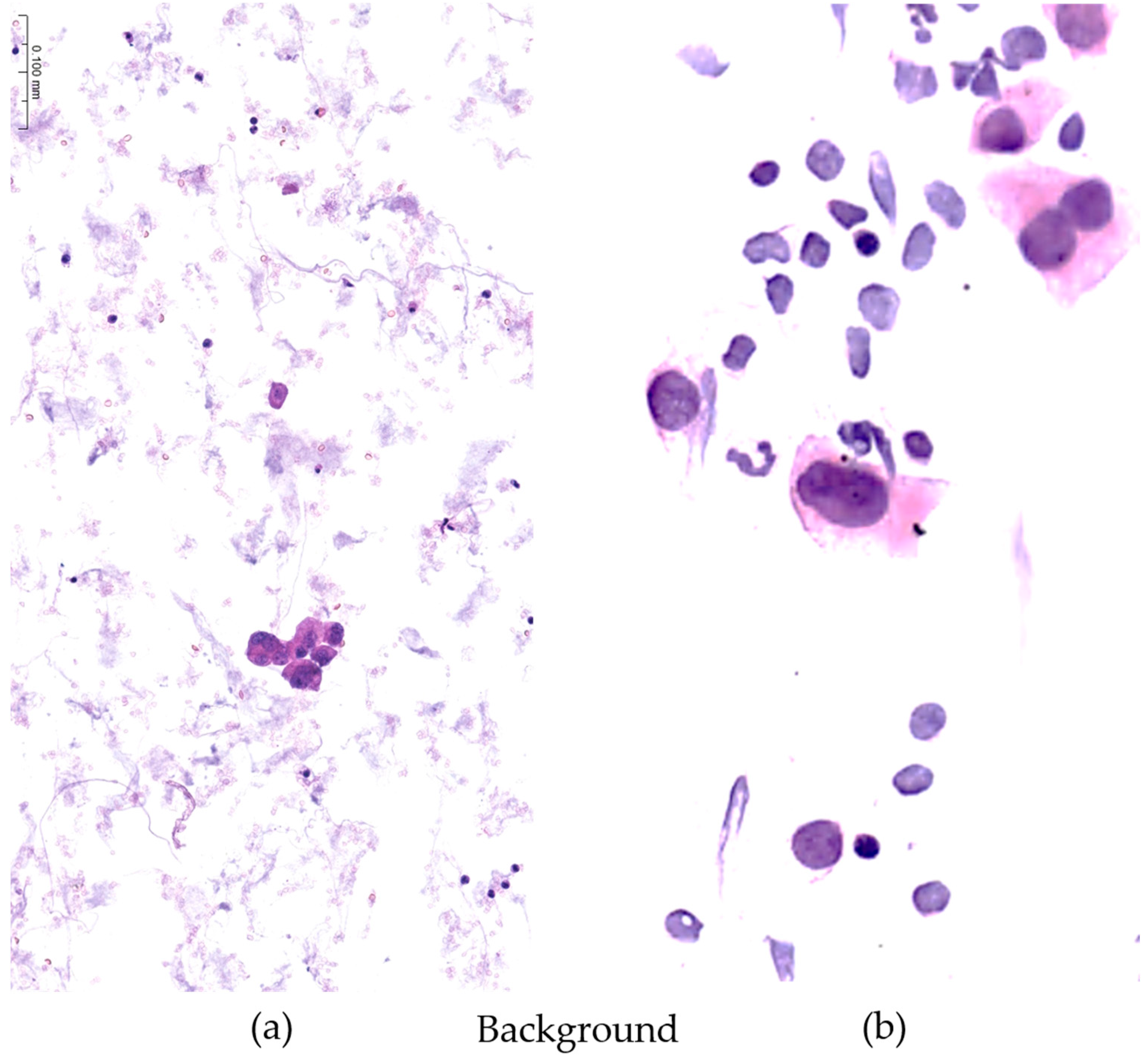 Diagnostics 13 03601 g005
