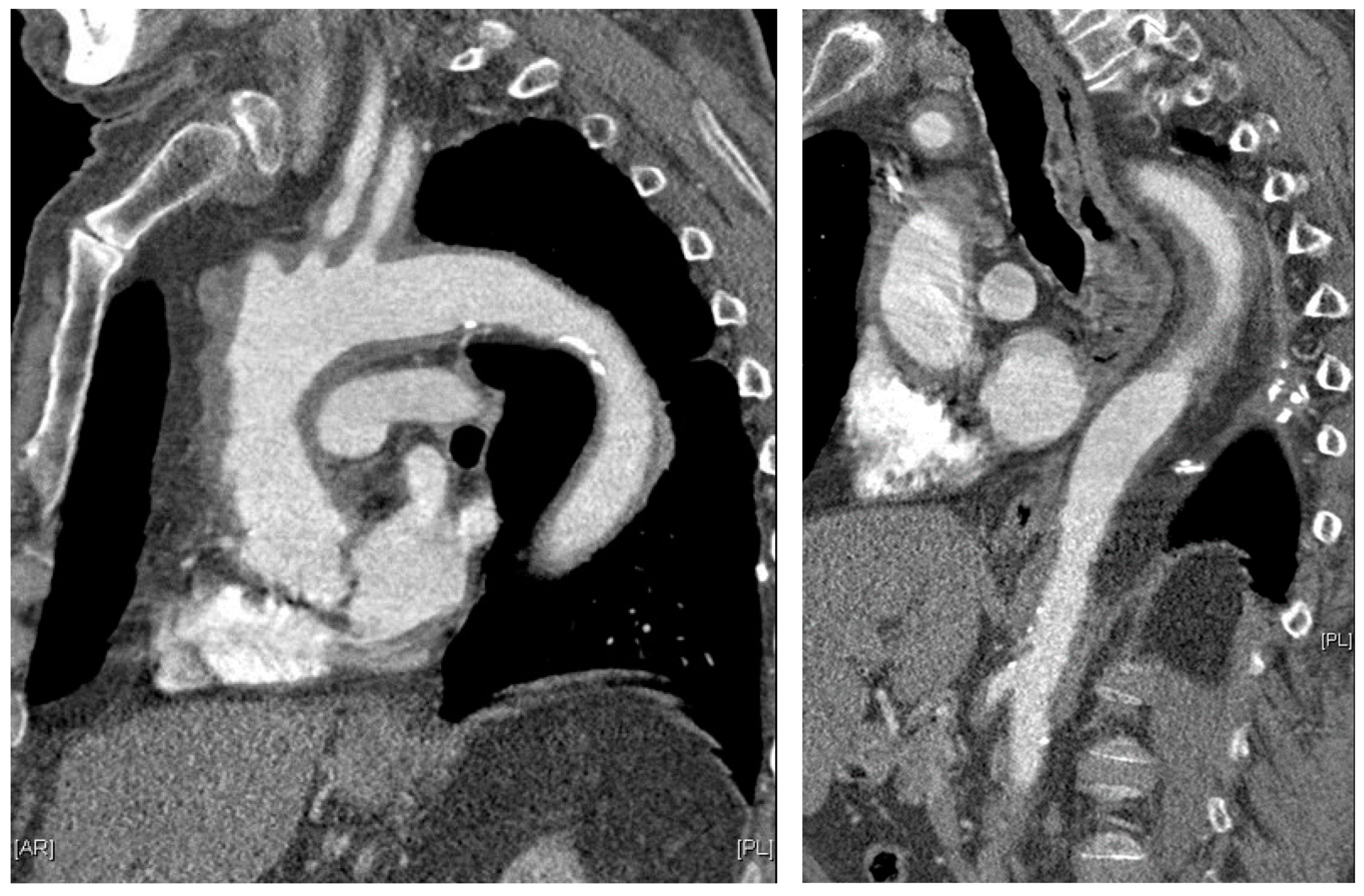 Diagnostics 13 03603 g003