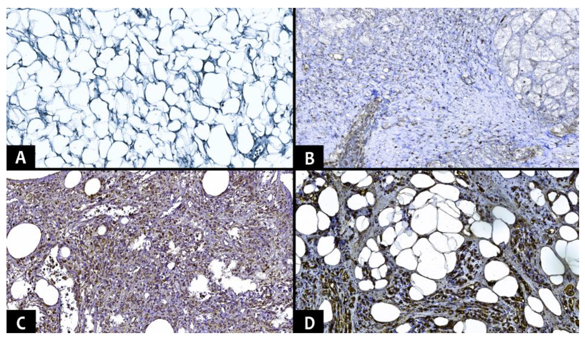 Diagnostics 13 03606 g002