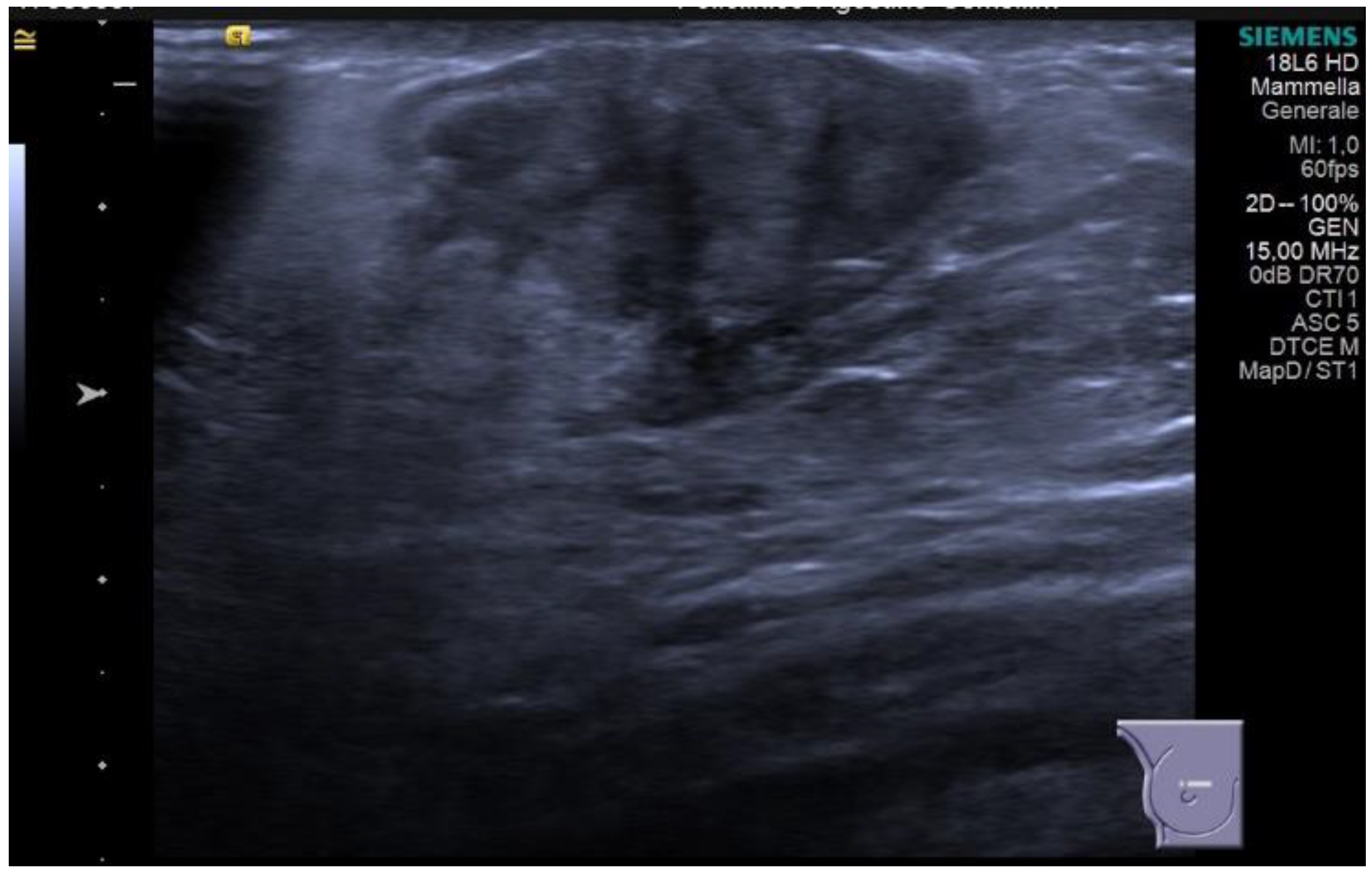 Diagnostics 13 03620 g005